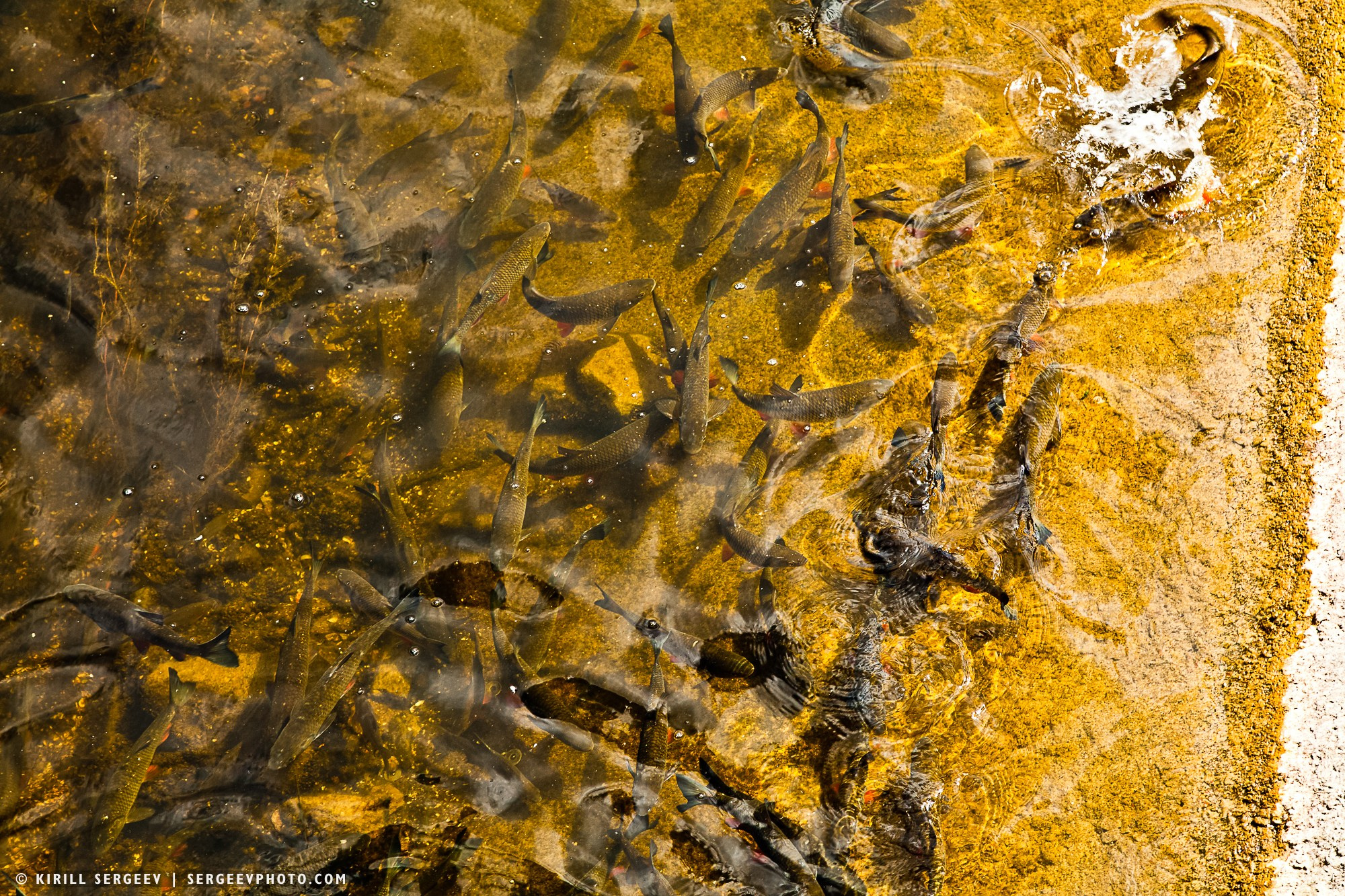 40 лет аварии на ЧАЭС. Поездка в зону отчуждения. 攝影師 基里爾·謝爾蓋耶夫 |莫斯科