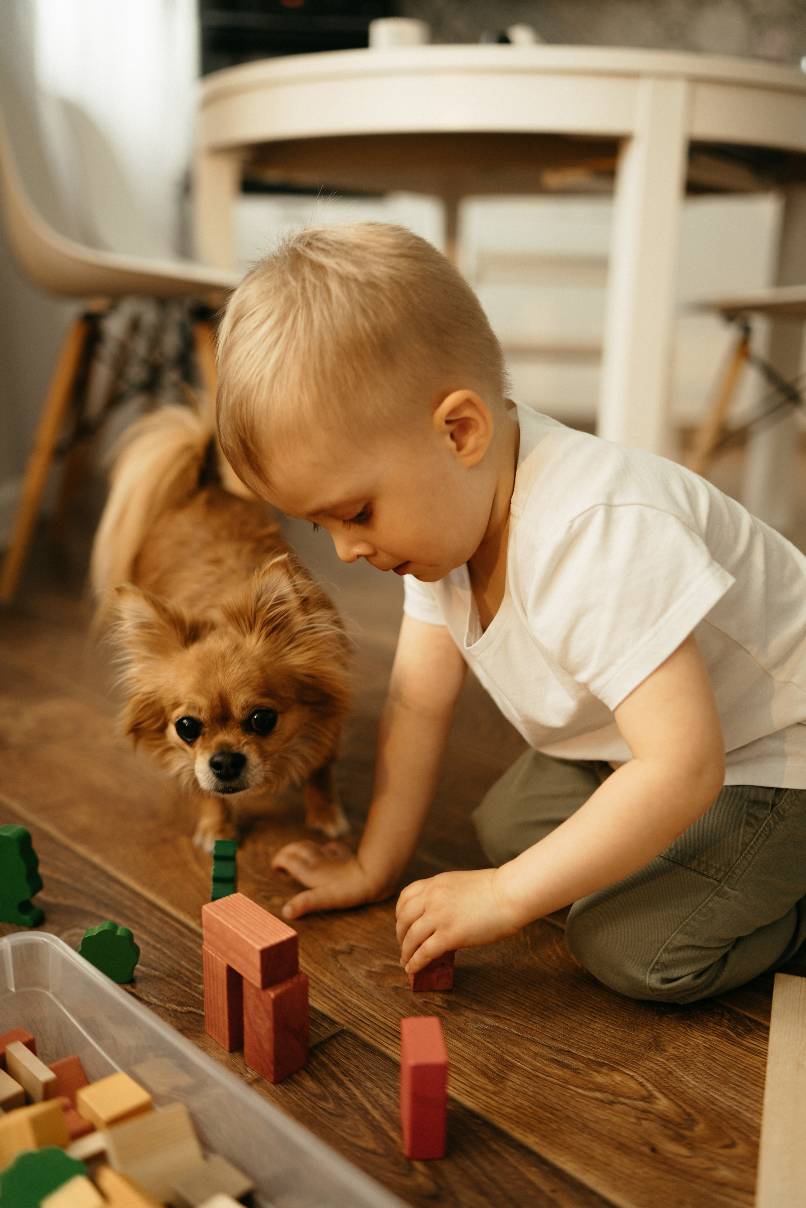 Даша, Артем и Федя. Фотограф Анна Кобазева, Москва