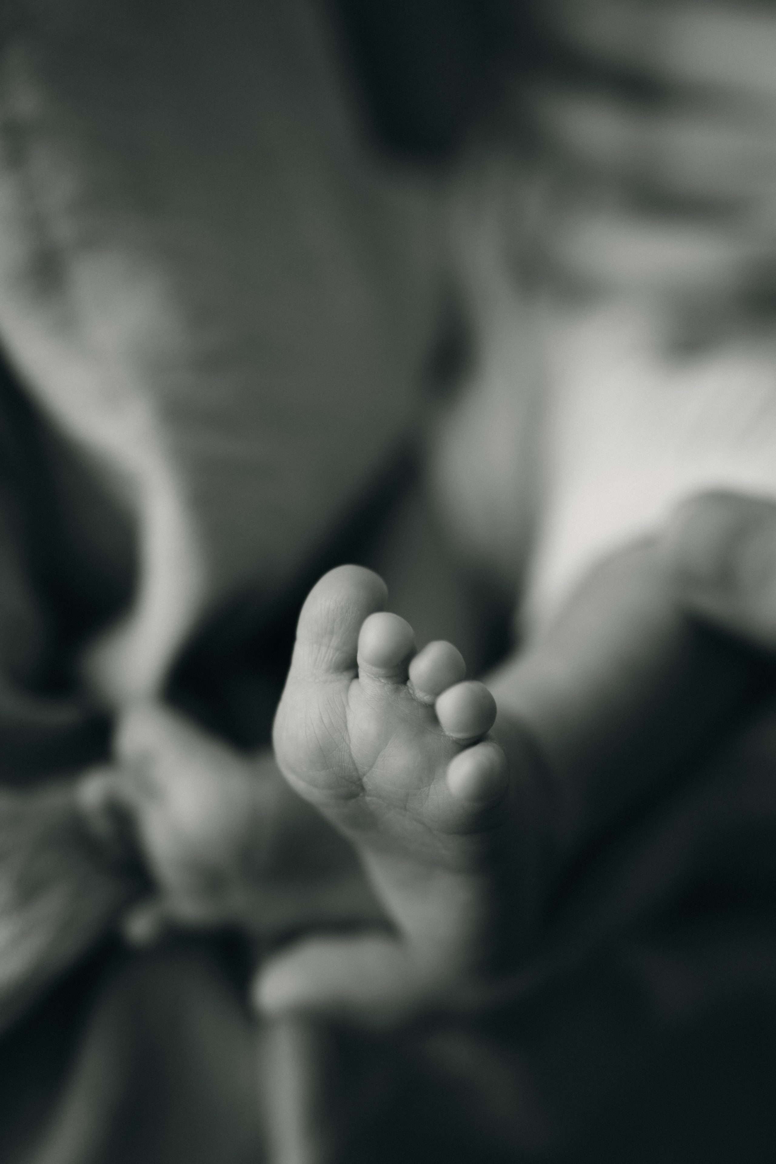 Софушка. Фотограф Анна Кобазева, Москва