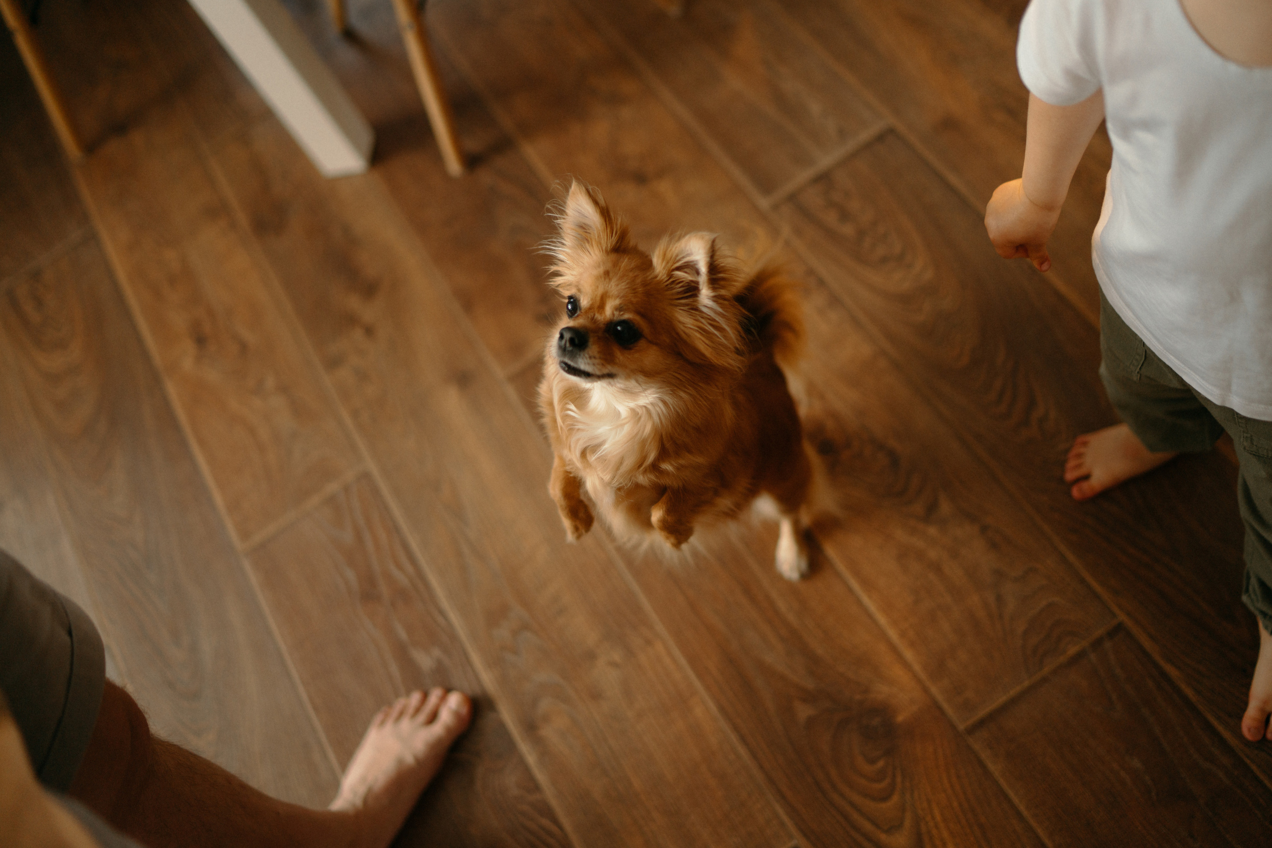 Даша, Артем и Федя. Фотограф Анна Кобазева, Москва