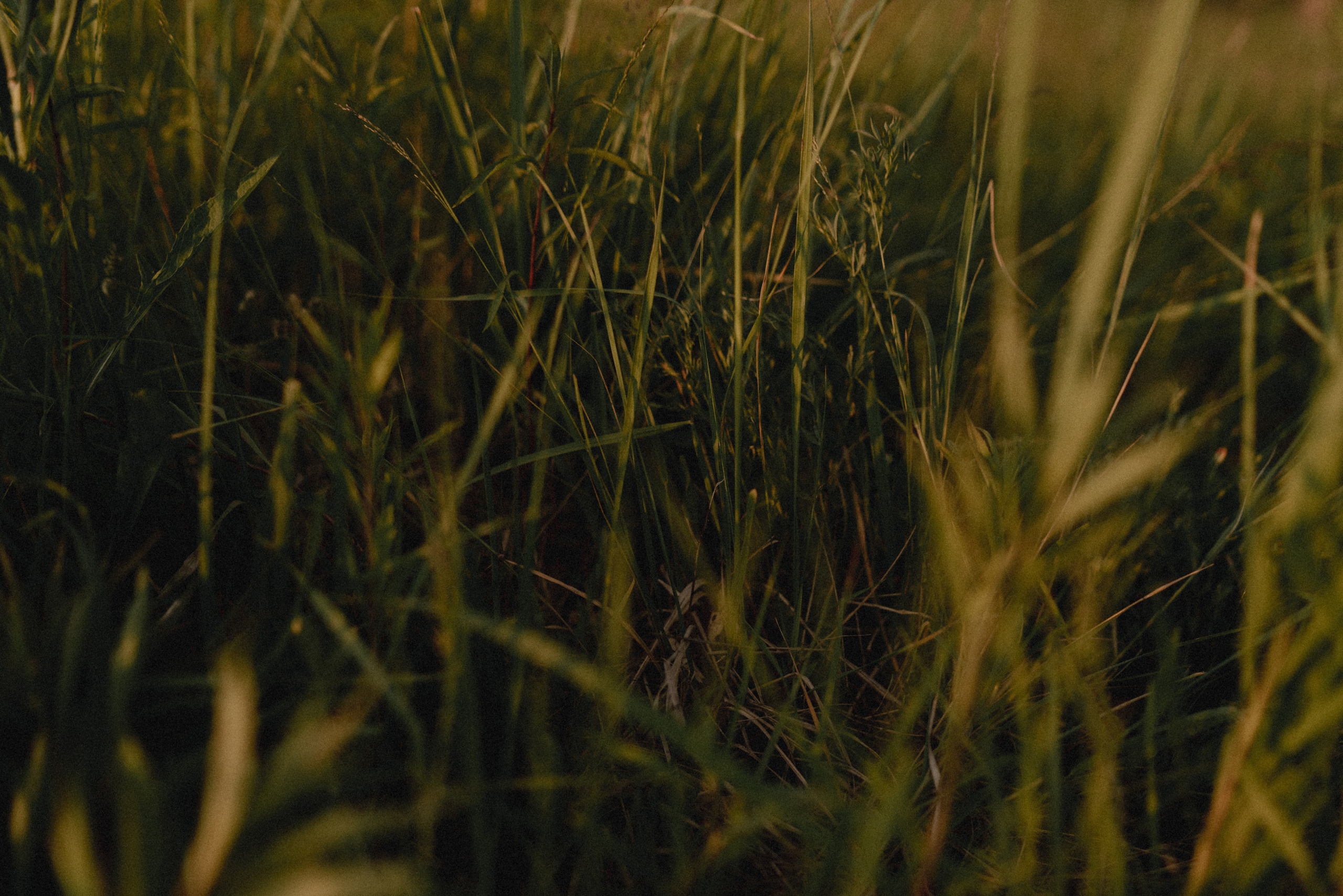 Мама и дочка. Фотограф Анна Кобазева, Москва