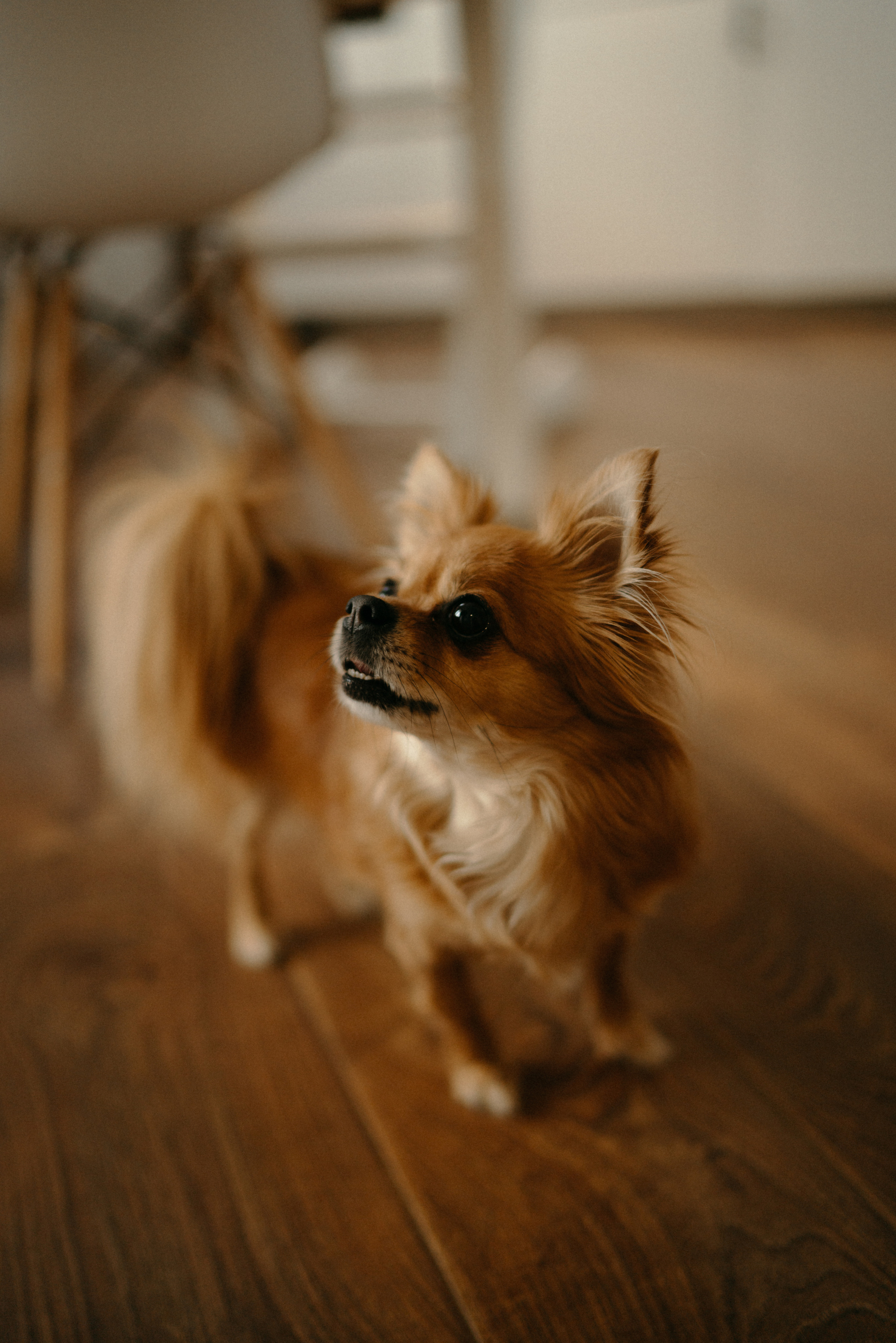 Даша, Артем и Федя. Фотограф Анна Кобазева, Москва