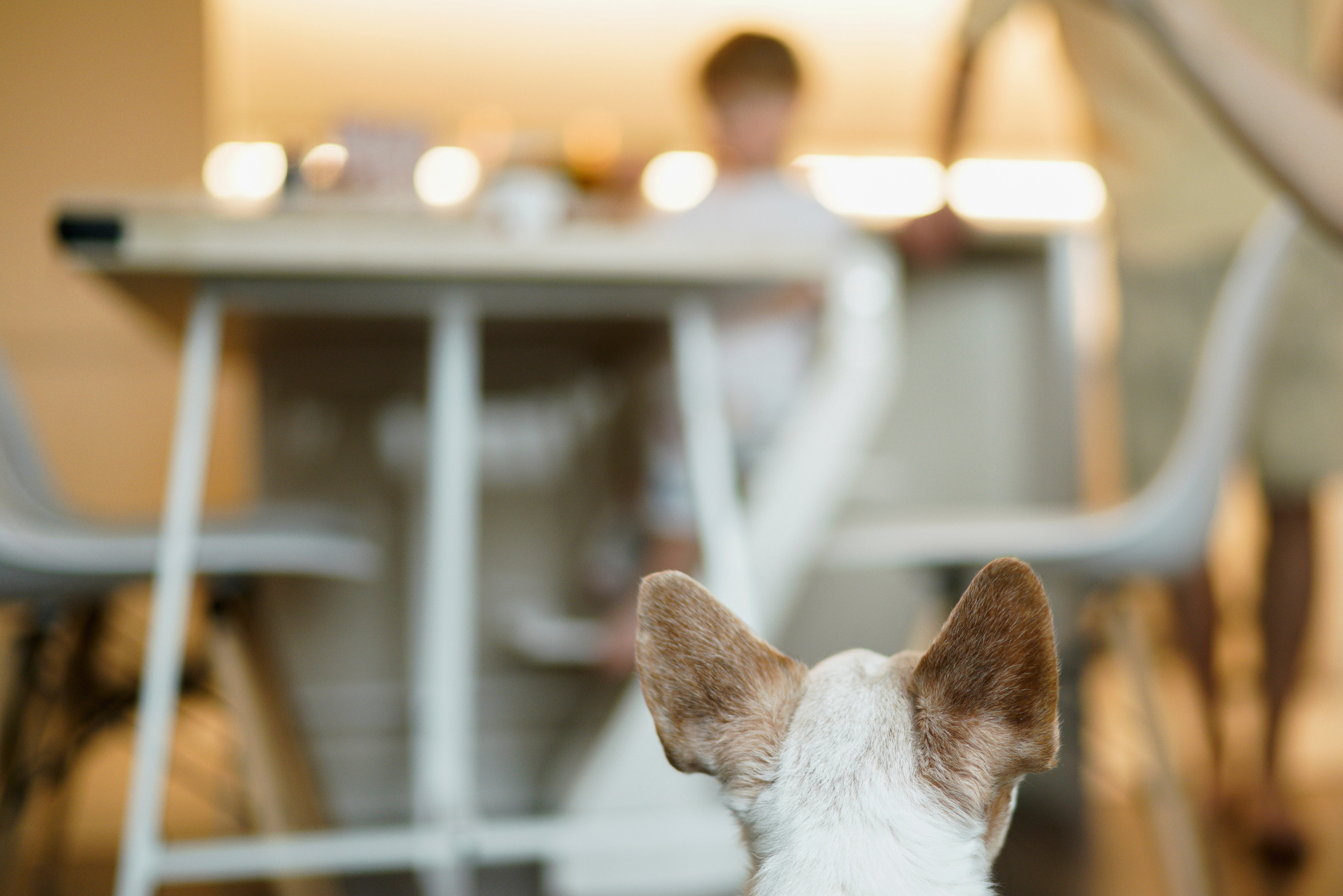 Аромат печенья. Фотограф Анна Кобазева, Москва