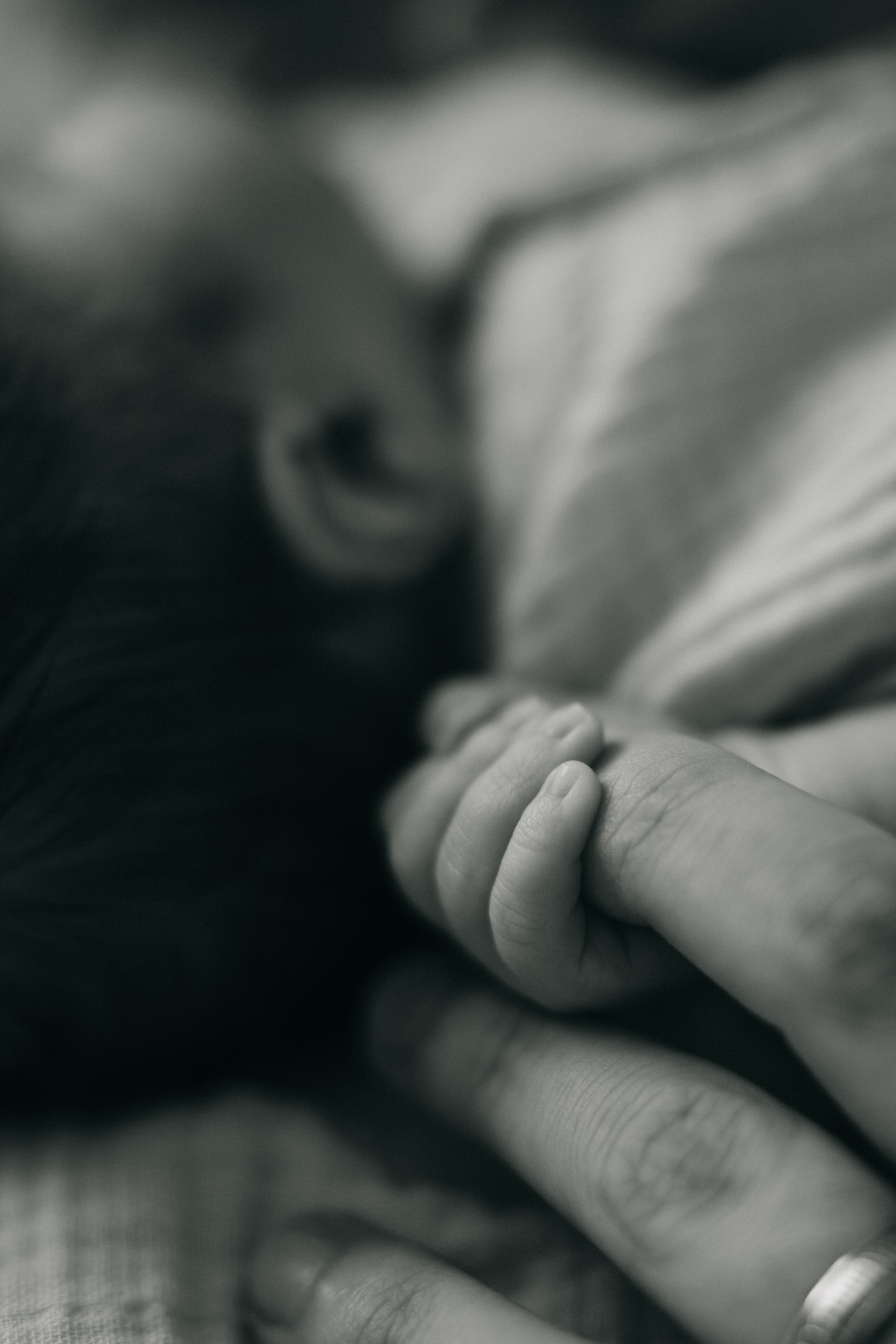 Софушка. Фотограф Анна Кобазева, Москва