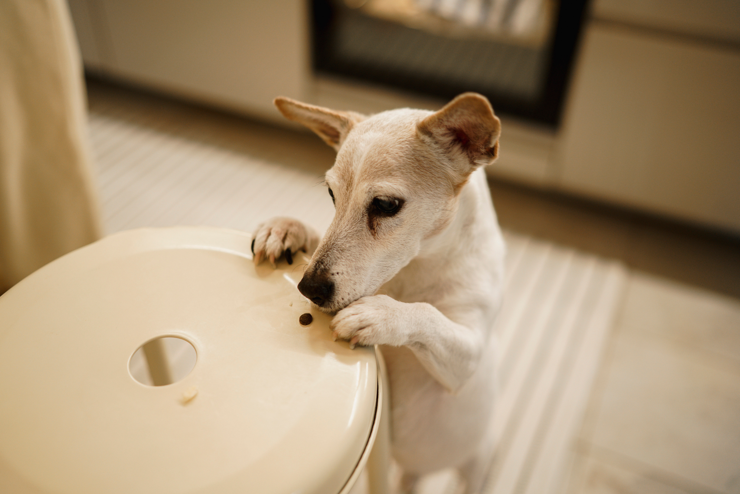 Аромат печенья. Фотограф Анна Кобазева, Москва