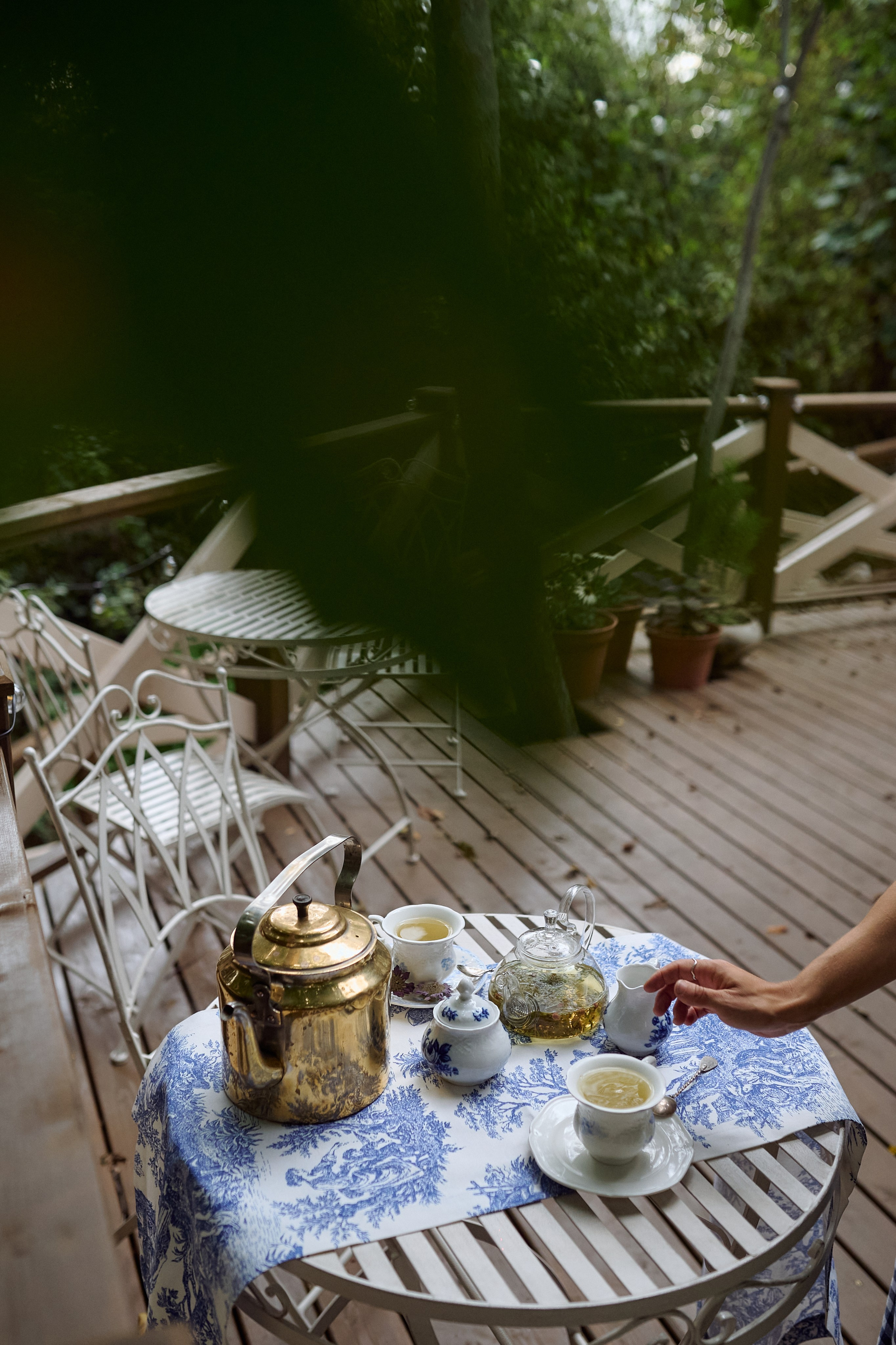 Алёна и Рада в Чайной. Семейный и свадебный lifestyle-фотограф в Москве Мария Петрова