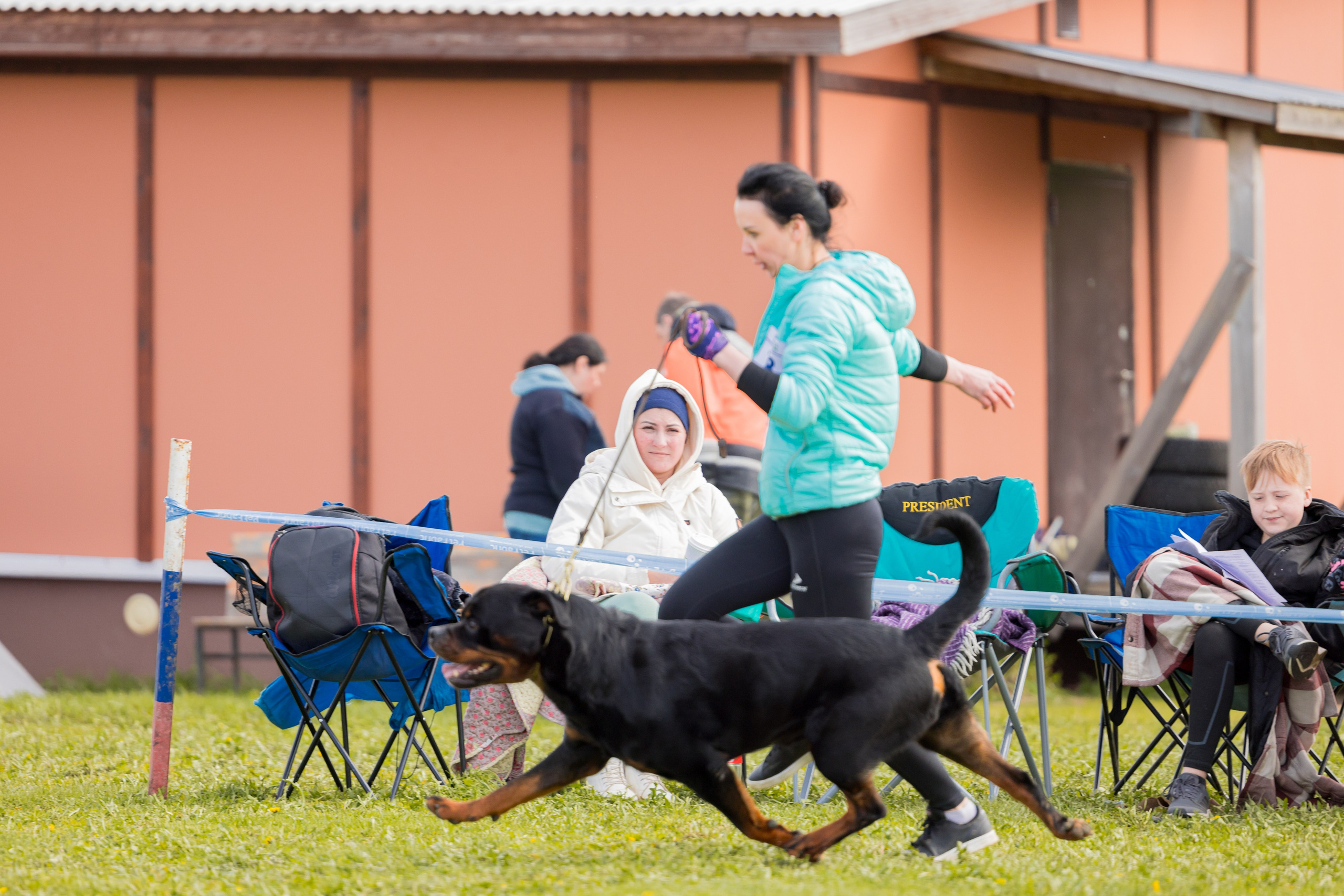 Нижний Новгород 11-12.05.2024 моно ротвейлеров. Фотограф-анималист Юлия Германика