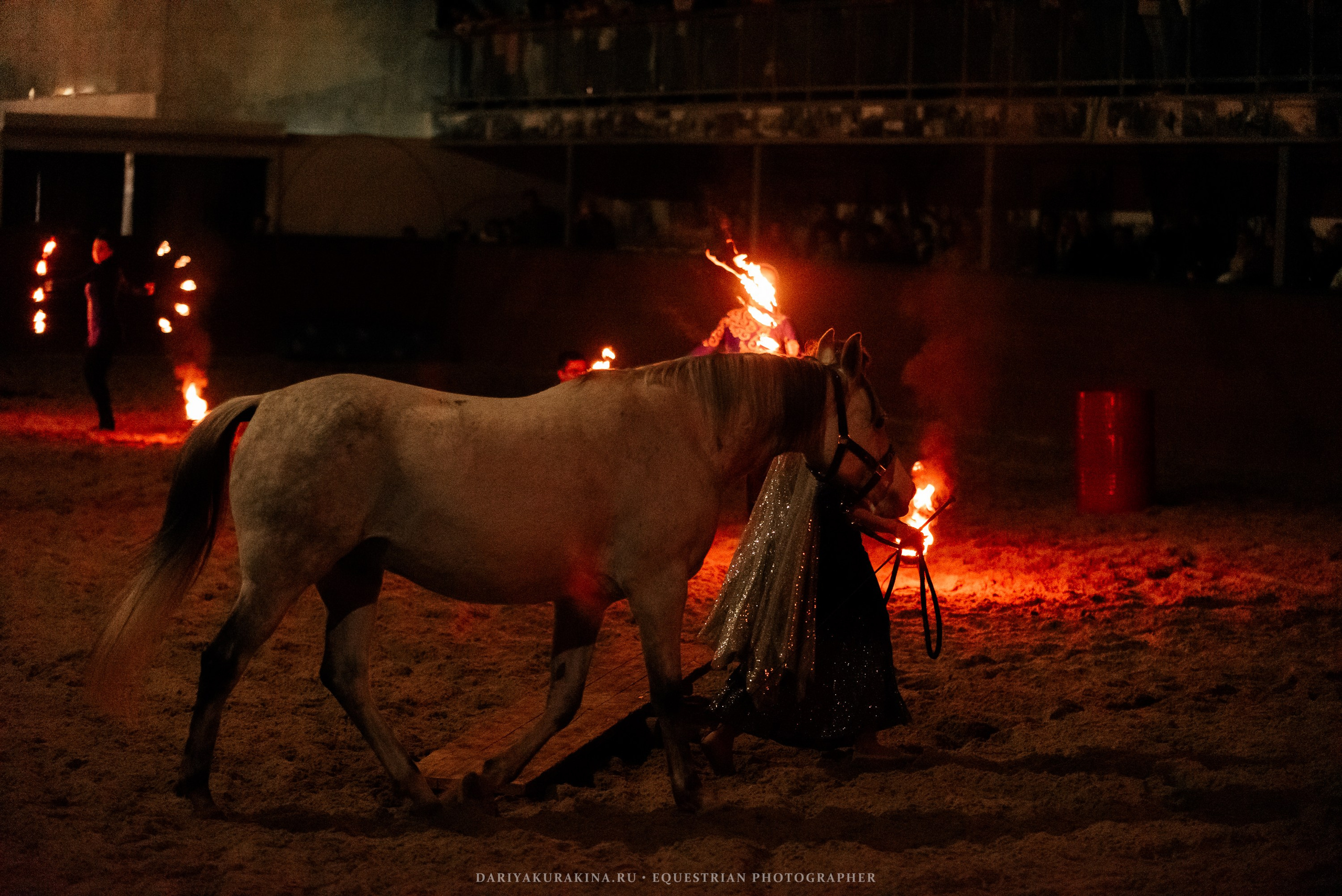 Конное представление «Дыхание Звёзд». Конный фотограф Куракина Дарья • Фотосессии с лошадьми