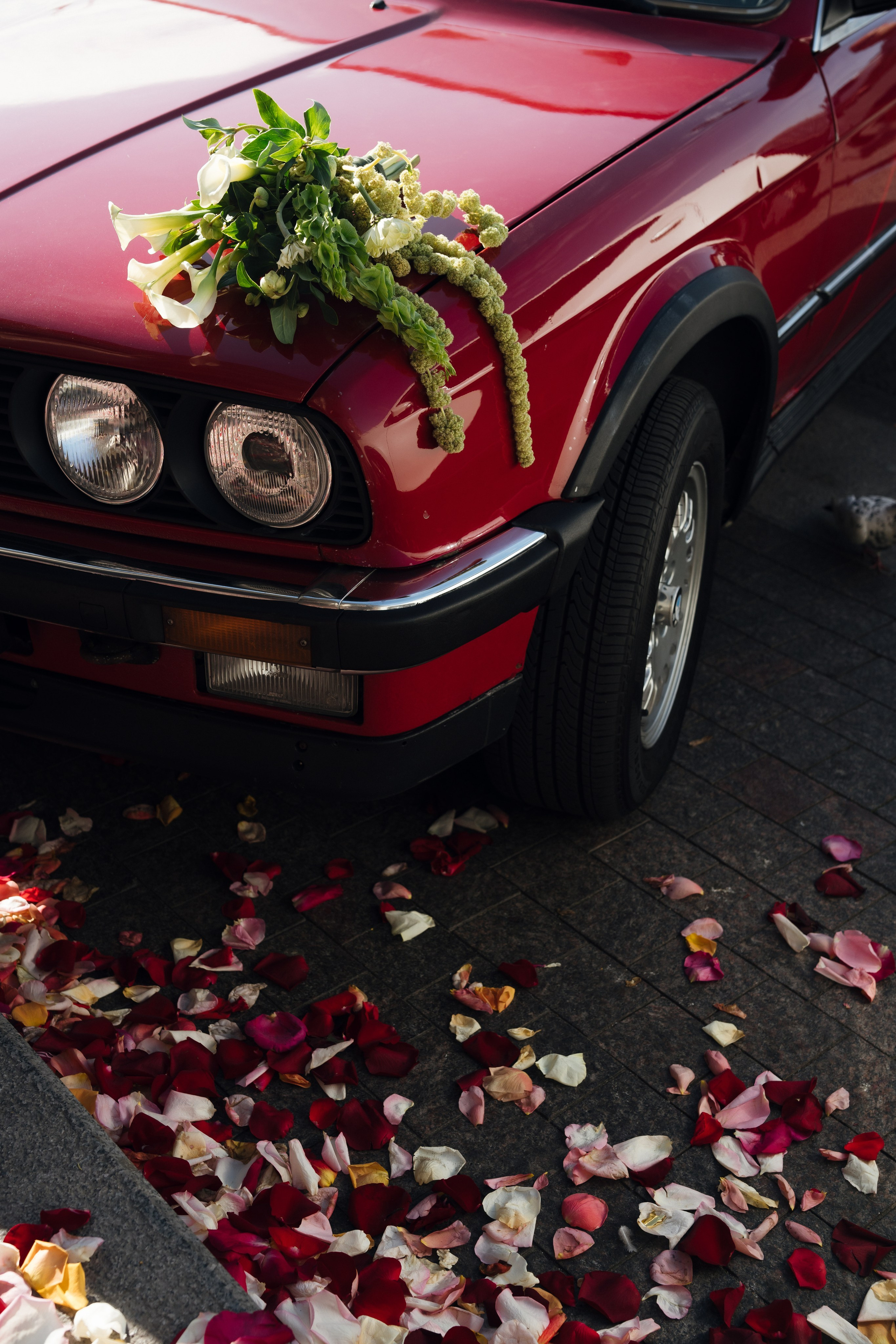 Аня и Андрей. Свадебный фотограф в Петербурге Перечнева Таша (Таша Вайб)