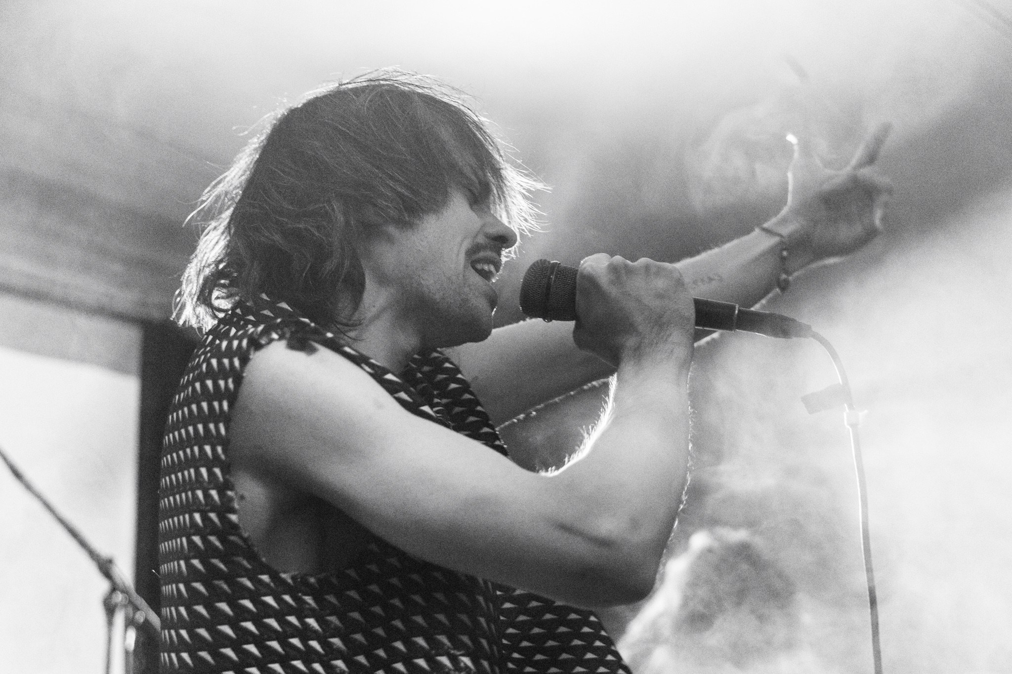 Змееед, Apodemus, 20.12.25, TAGO)))MAGO)))