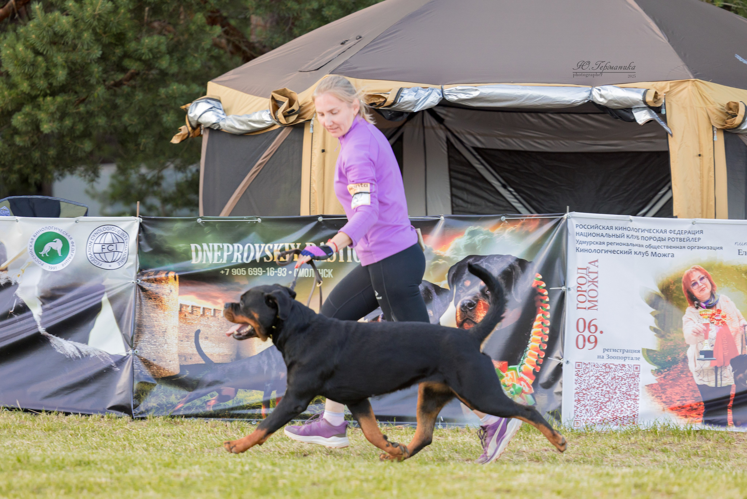 Тверь ротвейлеры 5-6.07.2025. Фотограф-анималист Юлия Германика