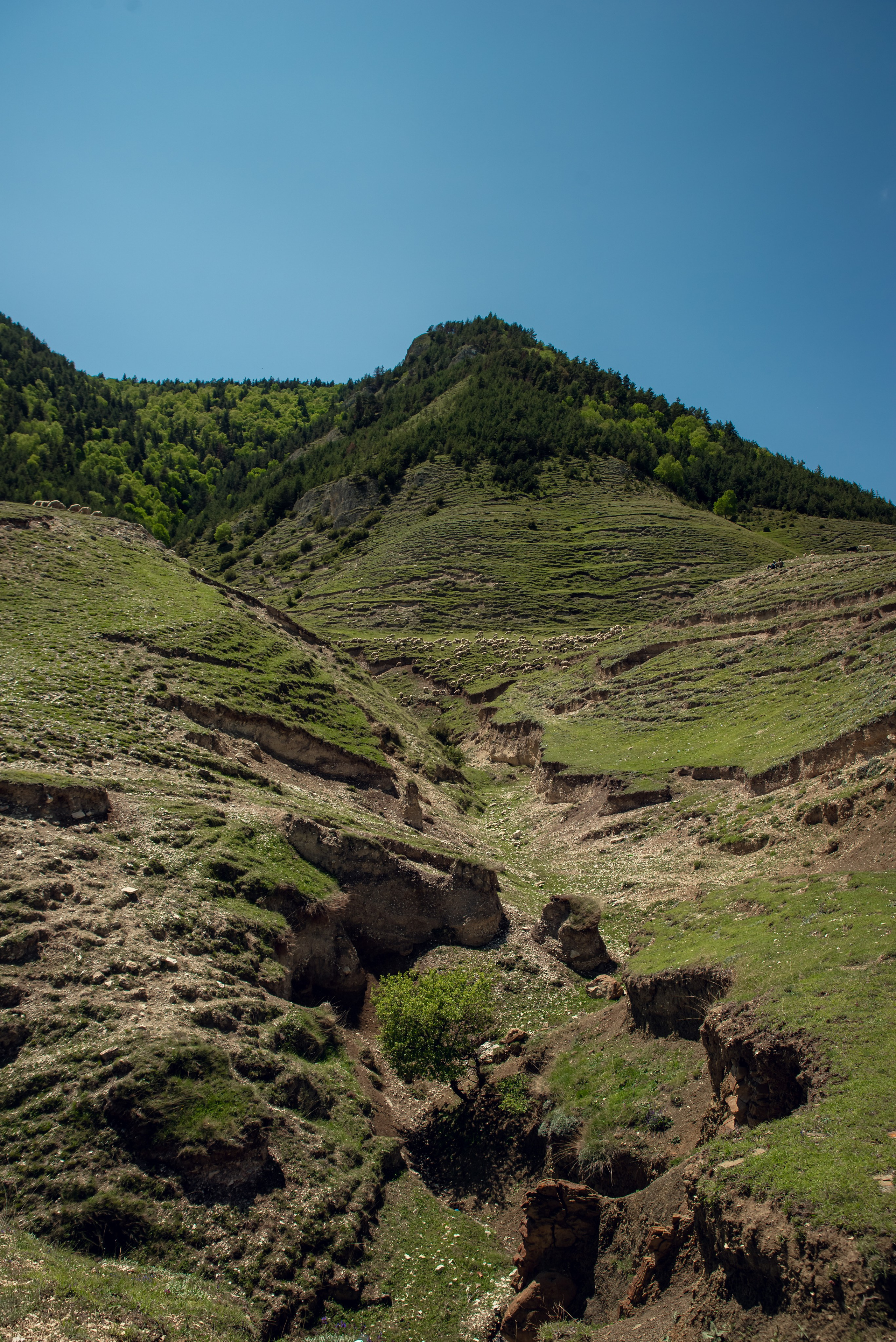 Дагестан. Фотограф Крещение Венчание Москва
