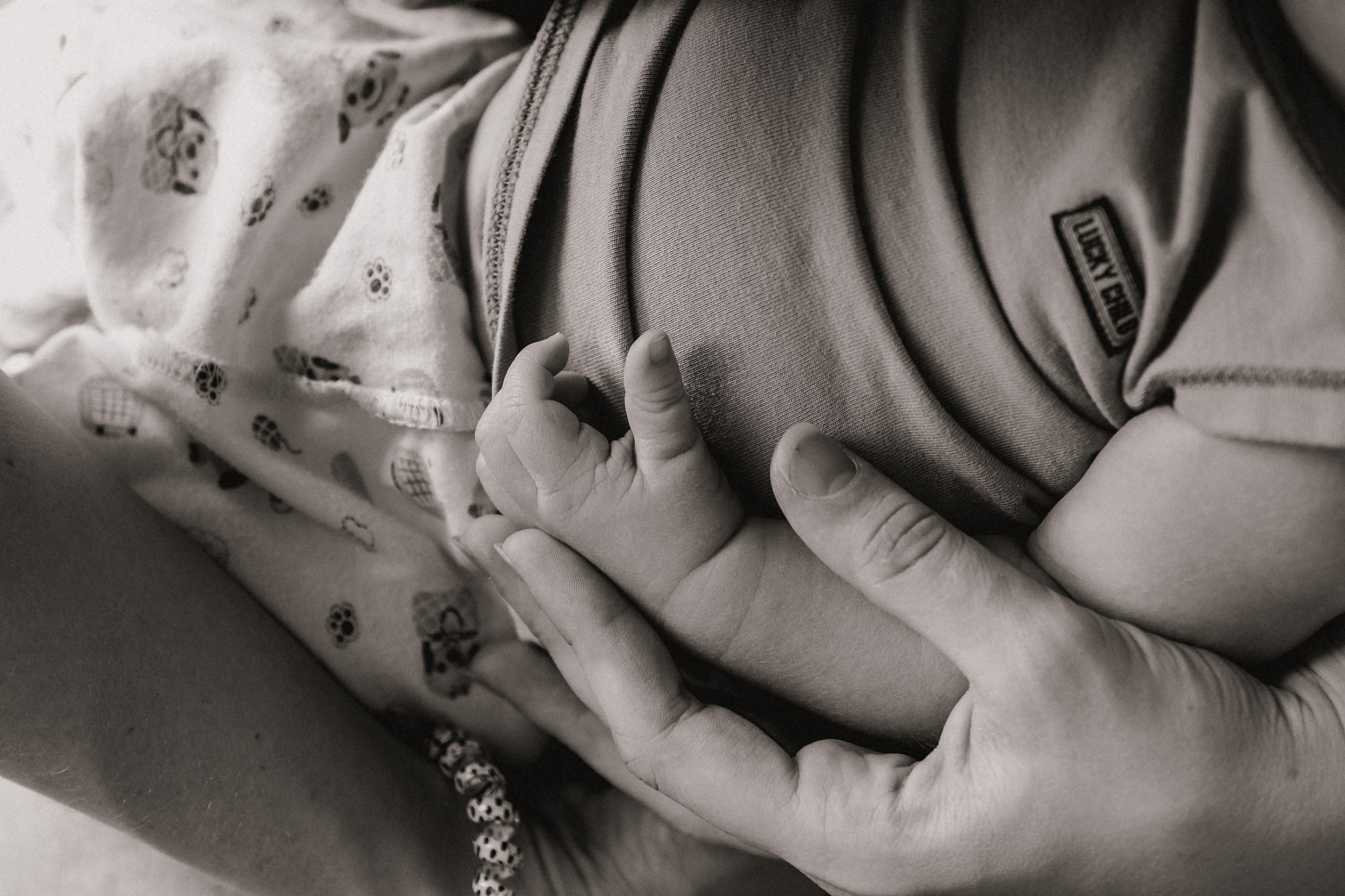 Семья Оливии. Семейный фотограф Москва