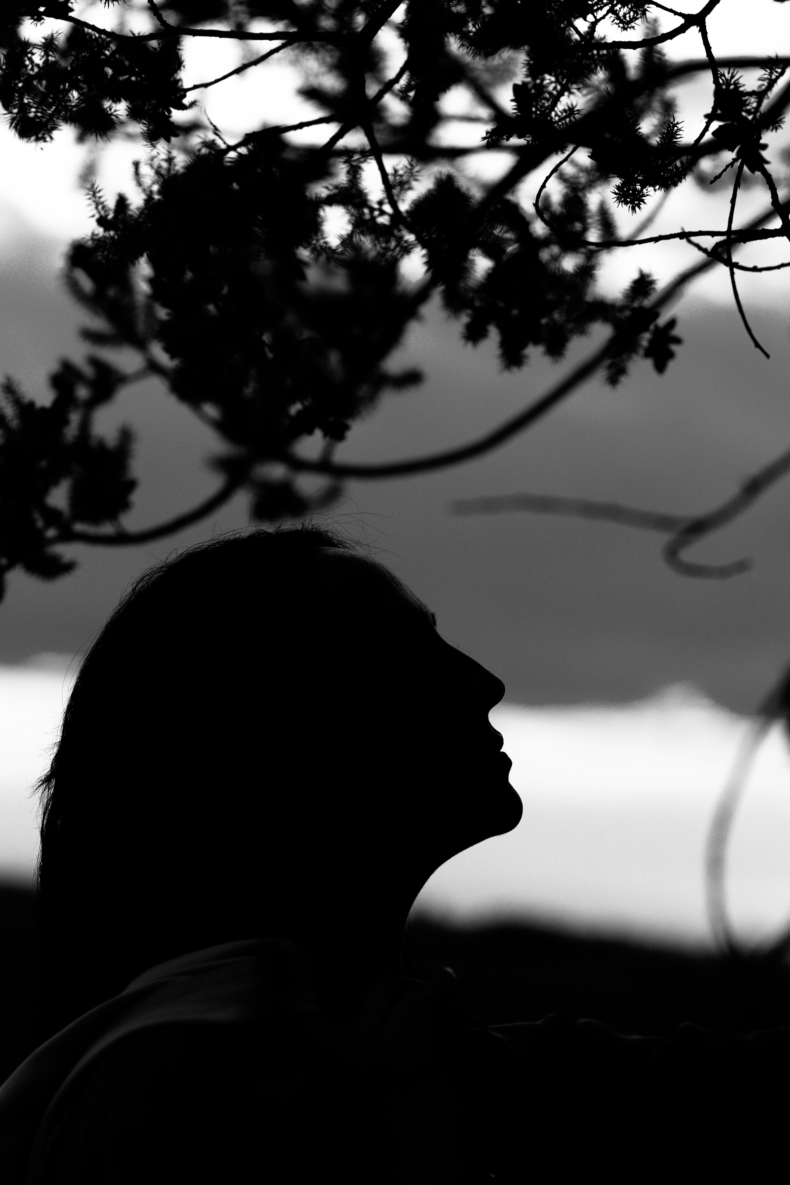 Полевая коллекция. Индивидуальный фотограф в Красноярске