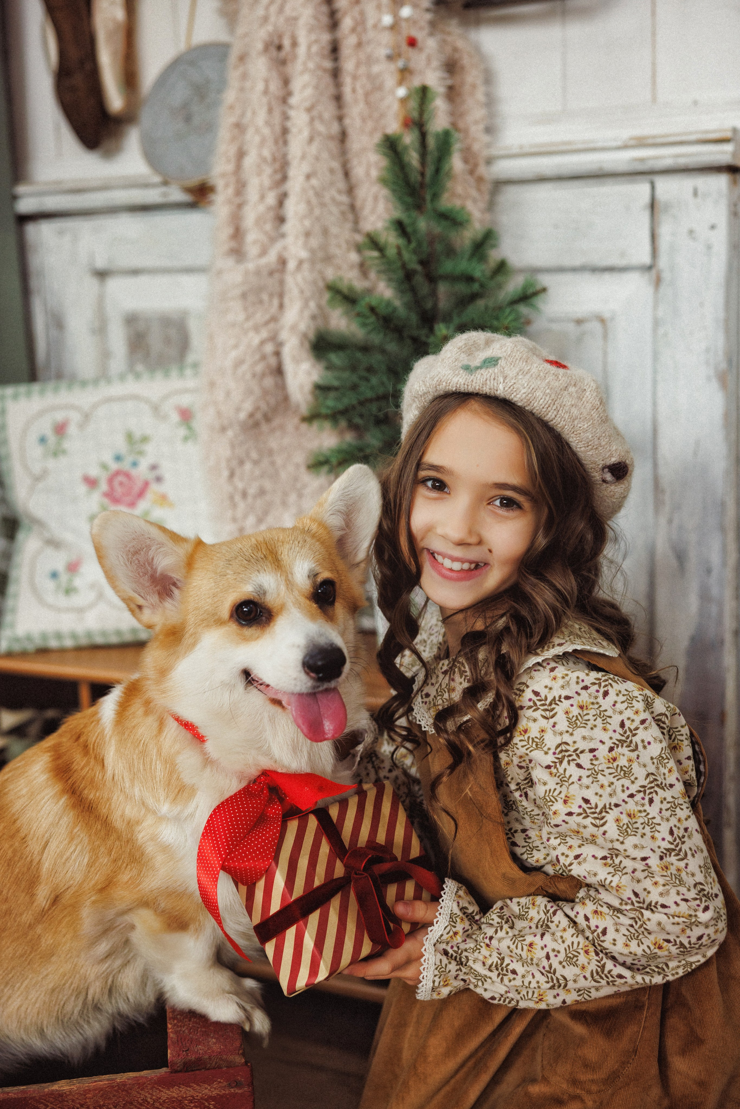 Новогодняя фотосессия с собачками породы Корги, город Краснодар. Семейный и детский фотограф в Краснодаре Анна Трашкова