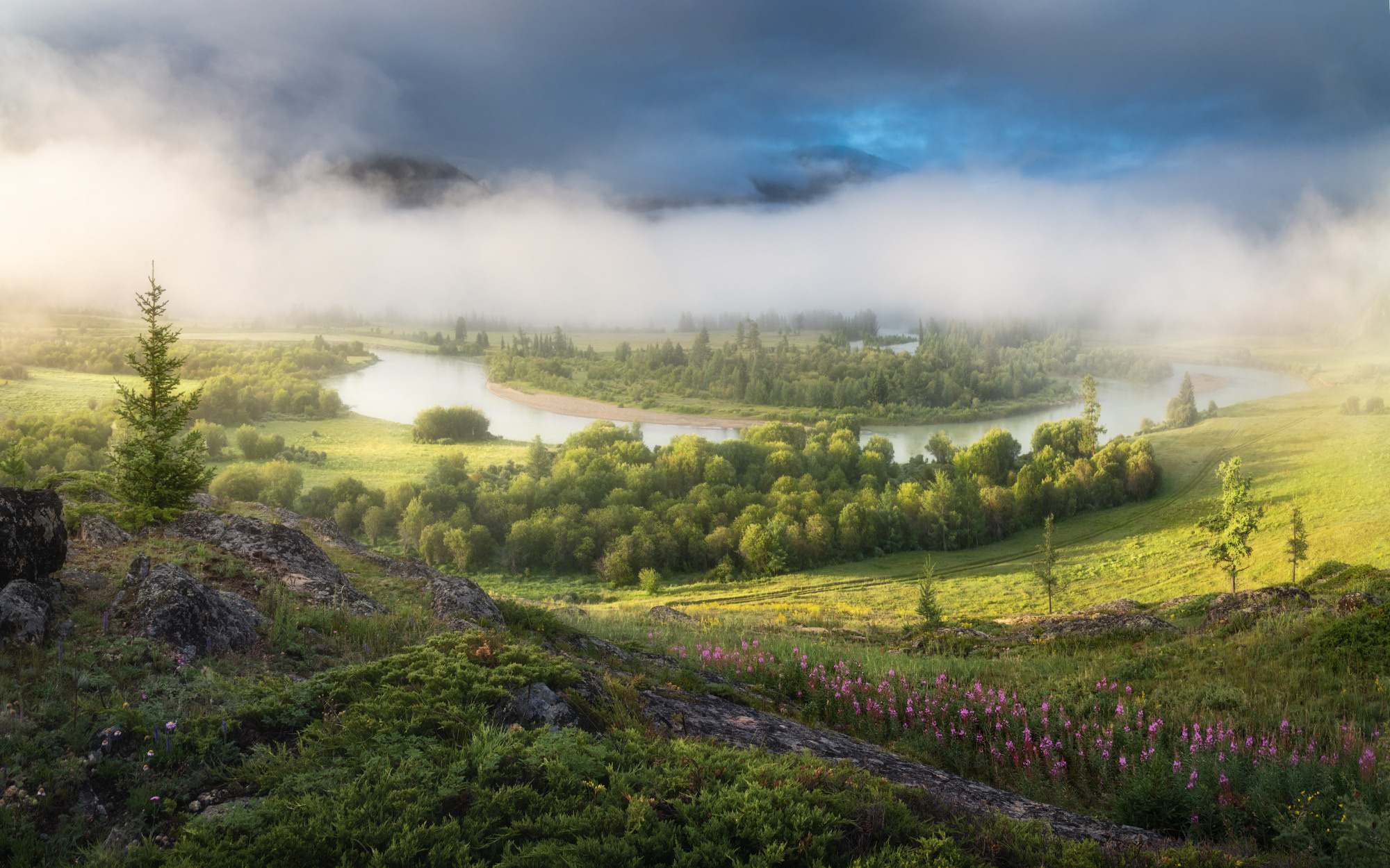 Утренняя нега на Акалахе. Кош-Агачский район, июль 2022