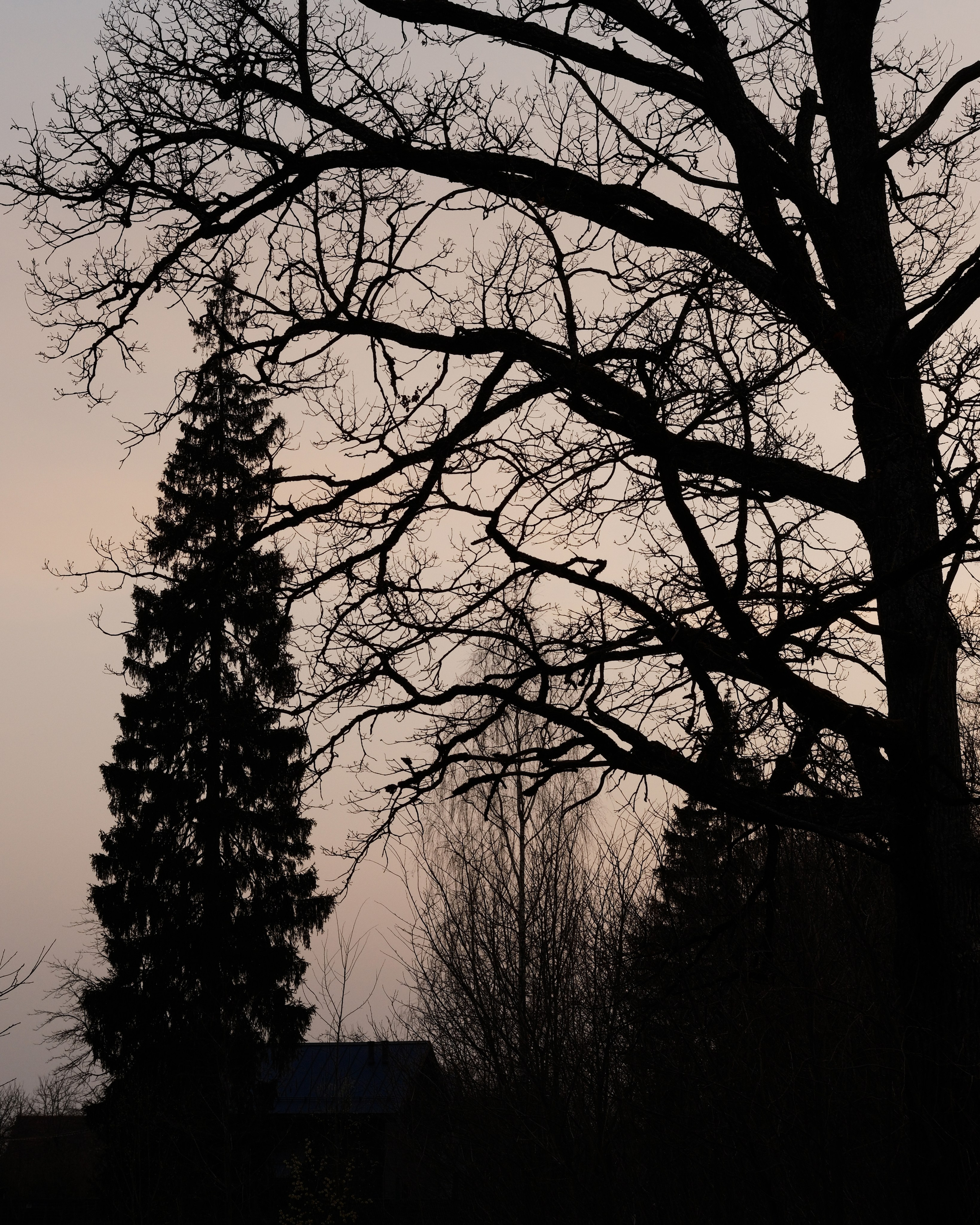 Природа. Фотограф Маргана Лоция