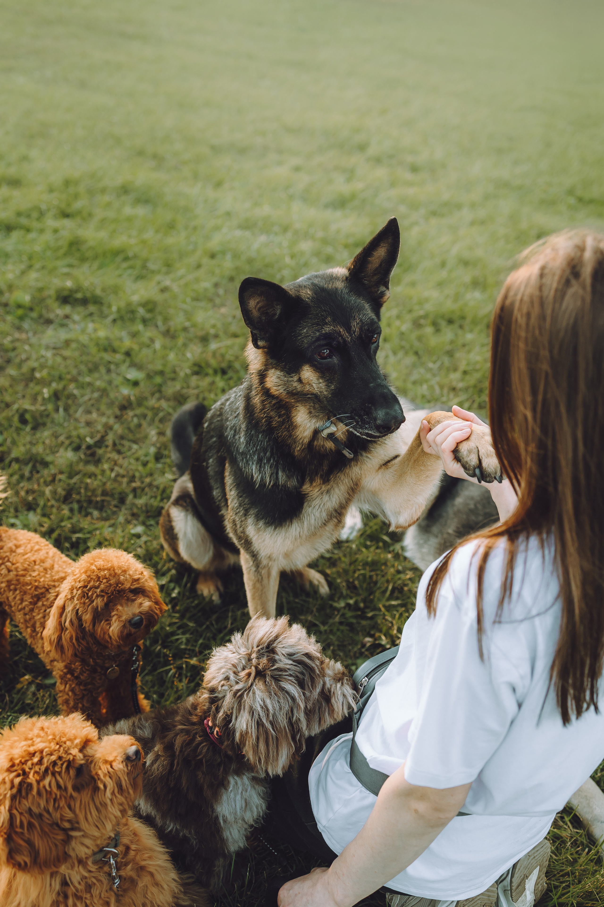 Кристина и все-все