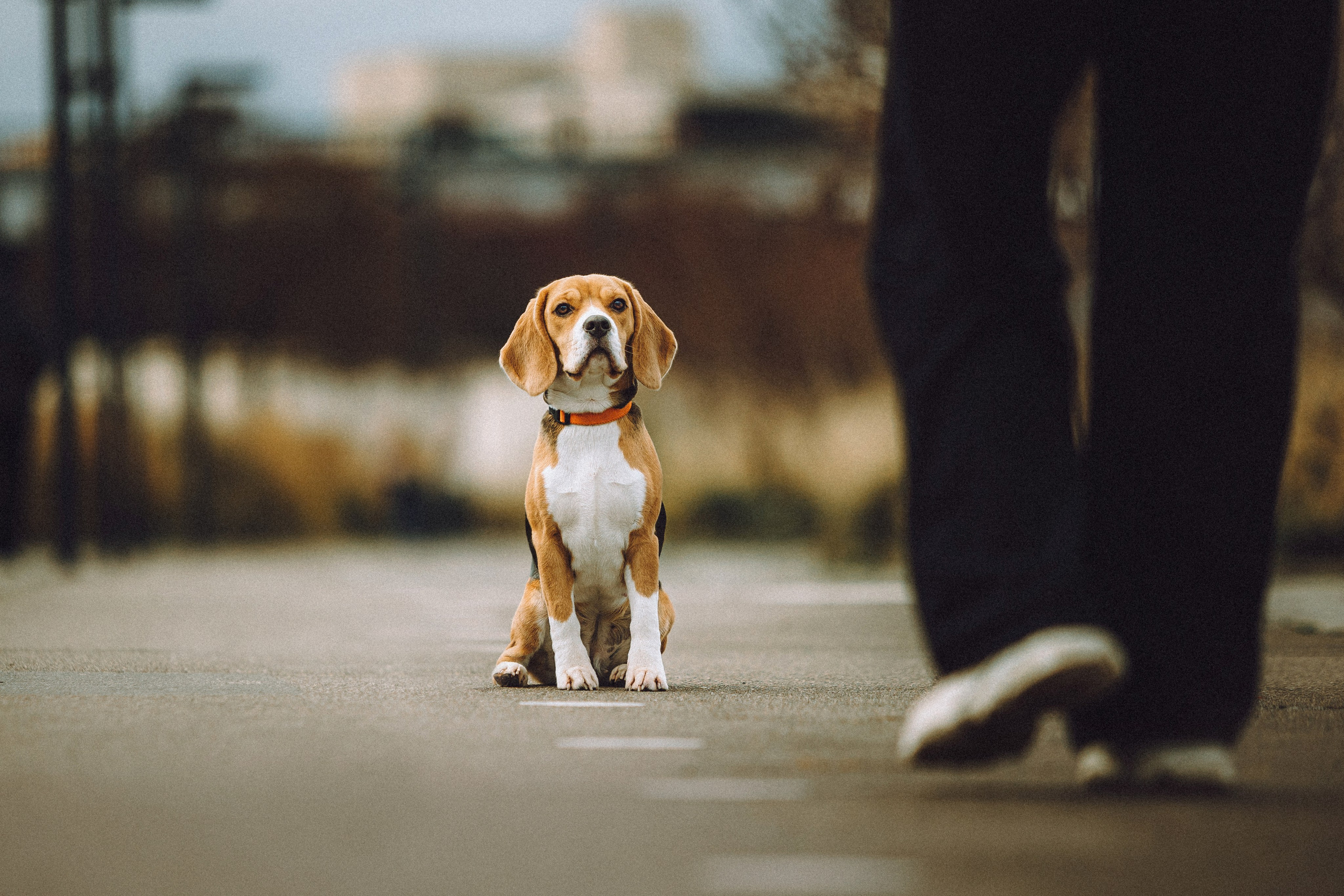 Ксюша и Мэгги