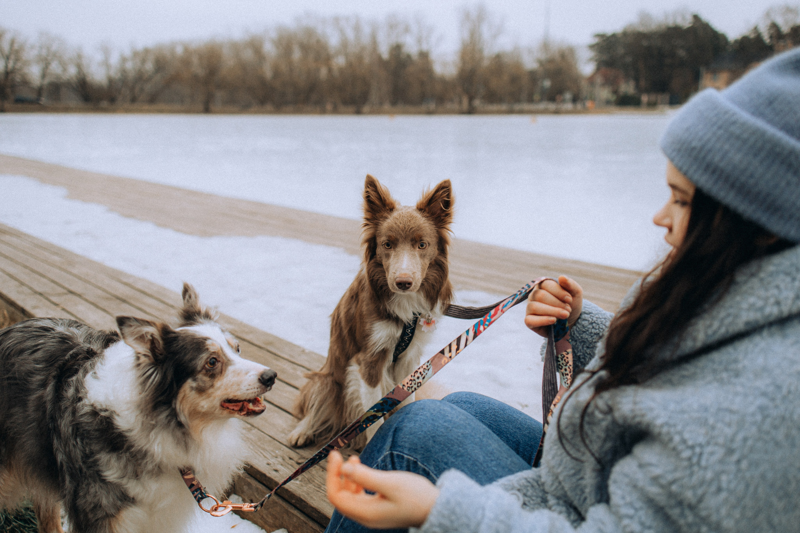 Полина, Милли и Паддингтон