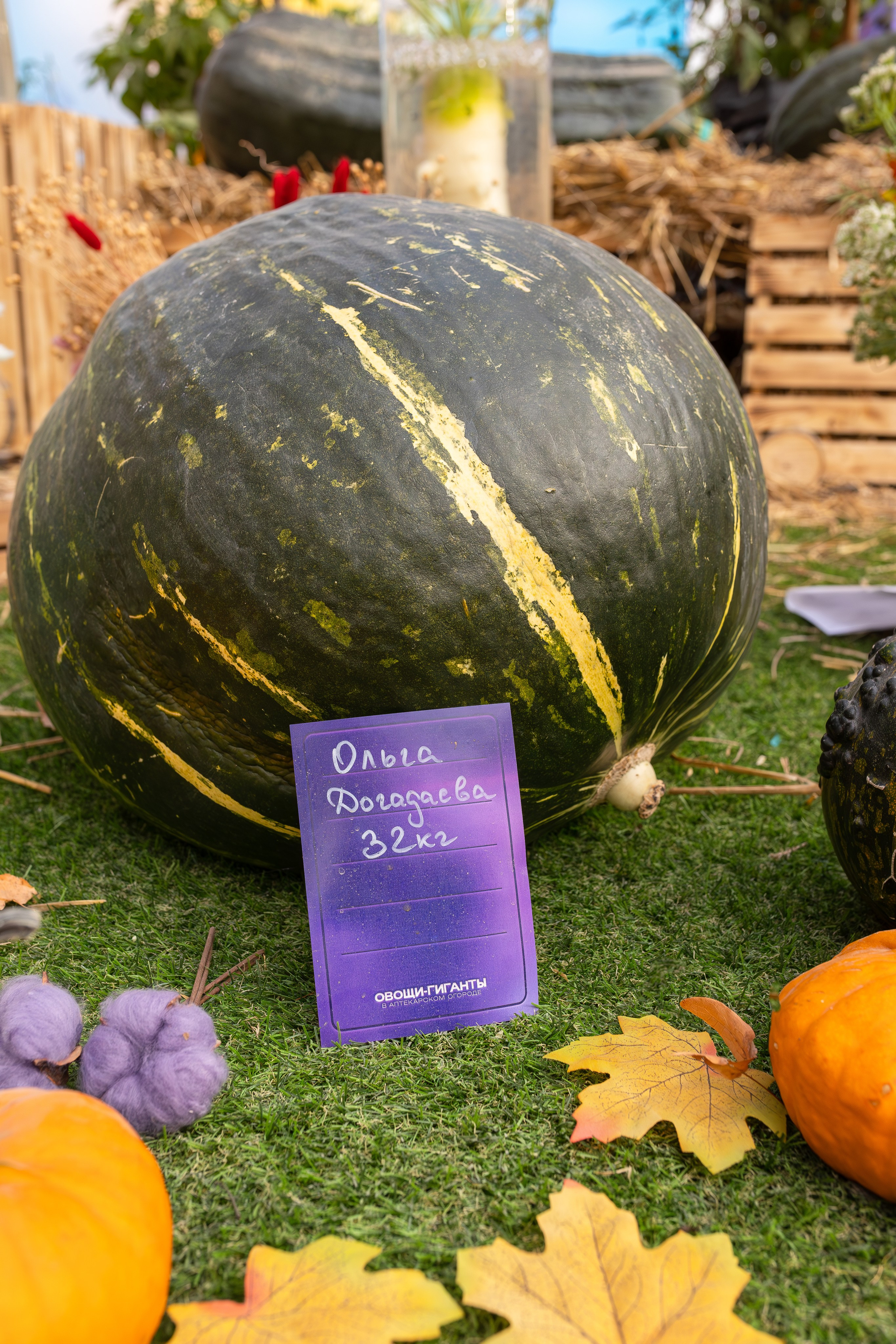 Овощи-гиганты. Александра Куликова фотограф, Москва