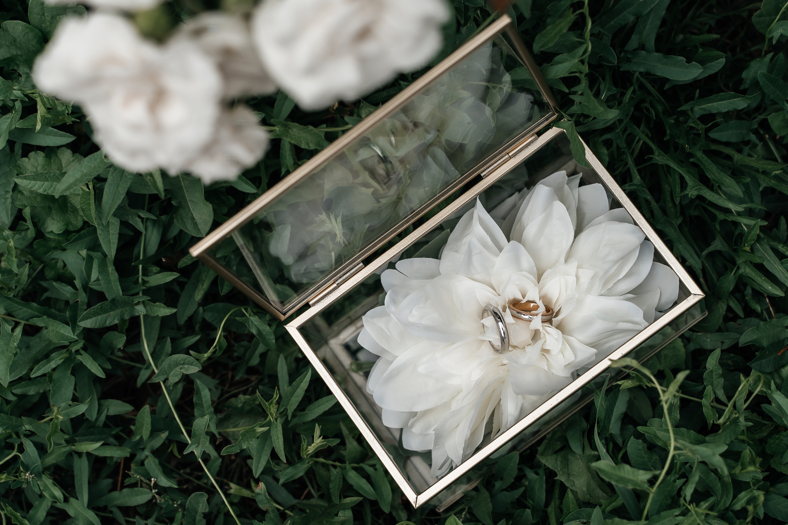 Фото В & С. Свадебный фотограф в Москве