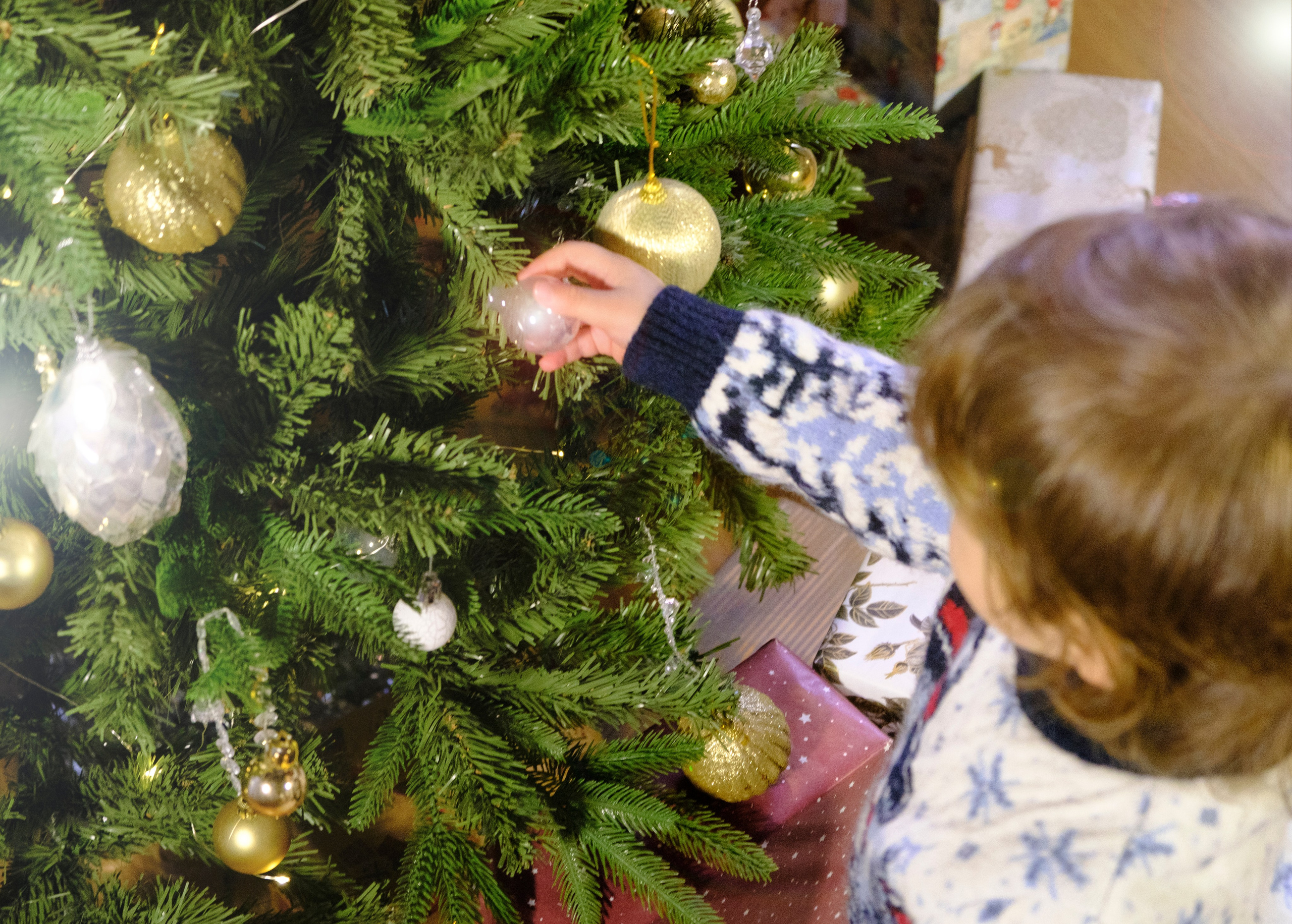 Новый Год. Фотограф Мельник Ирина. Москва