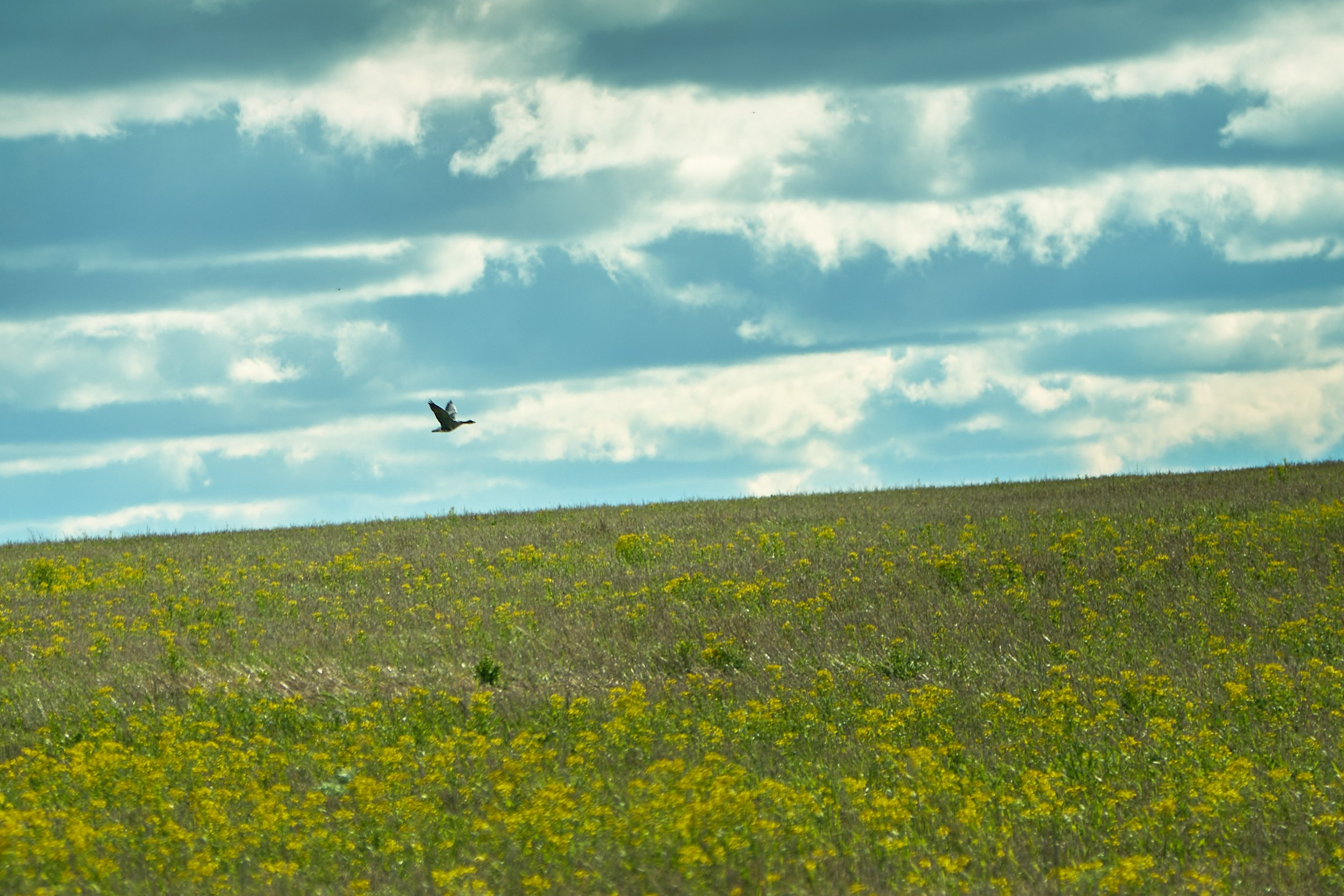 Пейзажная фотосъемка. Владимир Суздалов (ProMaXe) — Портретный фотограф, тематические фотосессии в Чебоксарах
