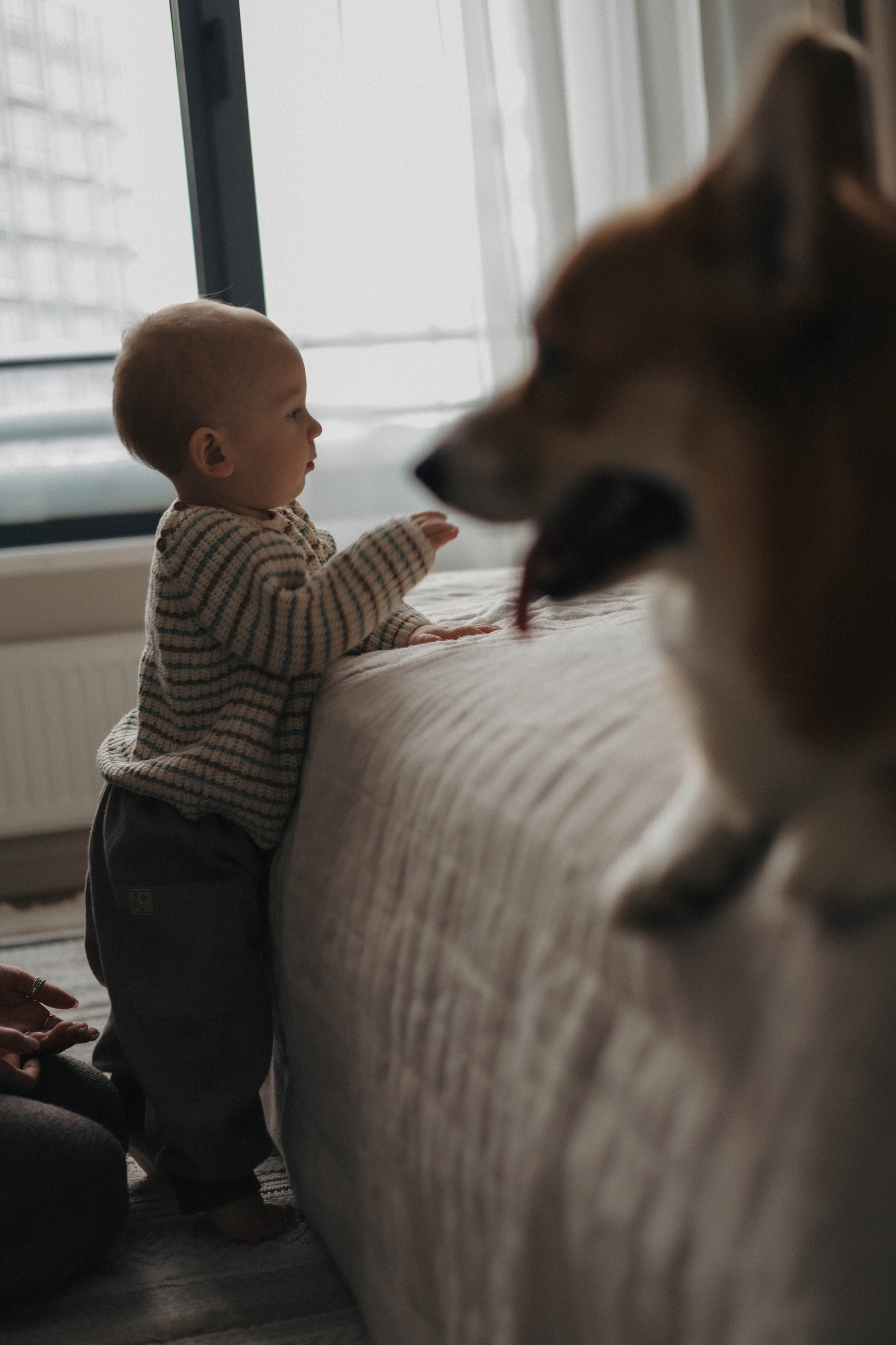 Валерия, Вова и Персик. Семейный фотограф в Москве Дарья Верещагина