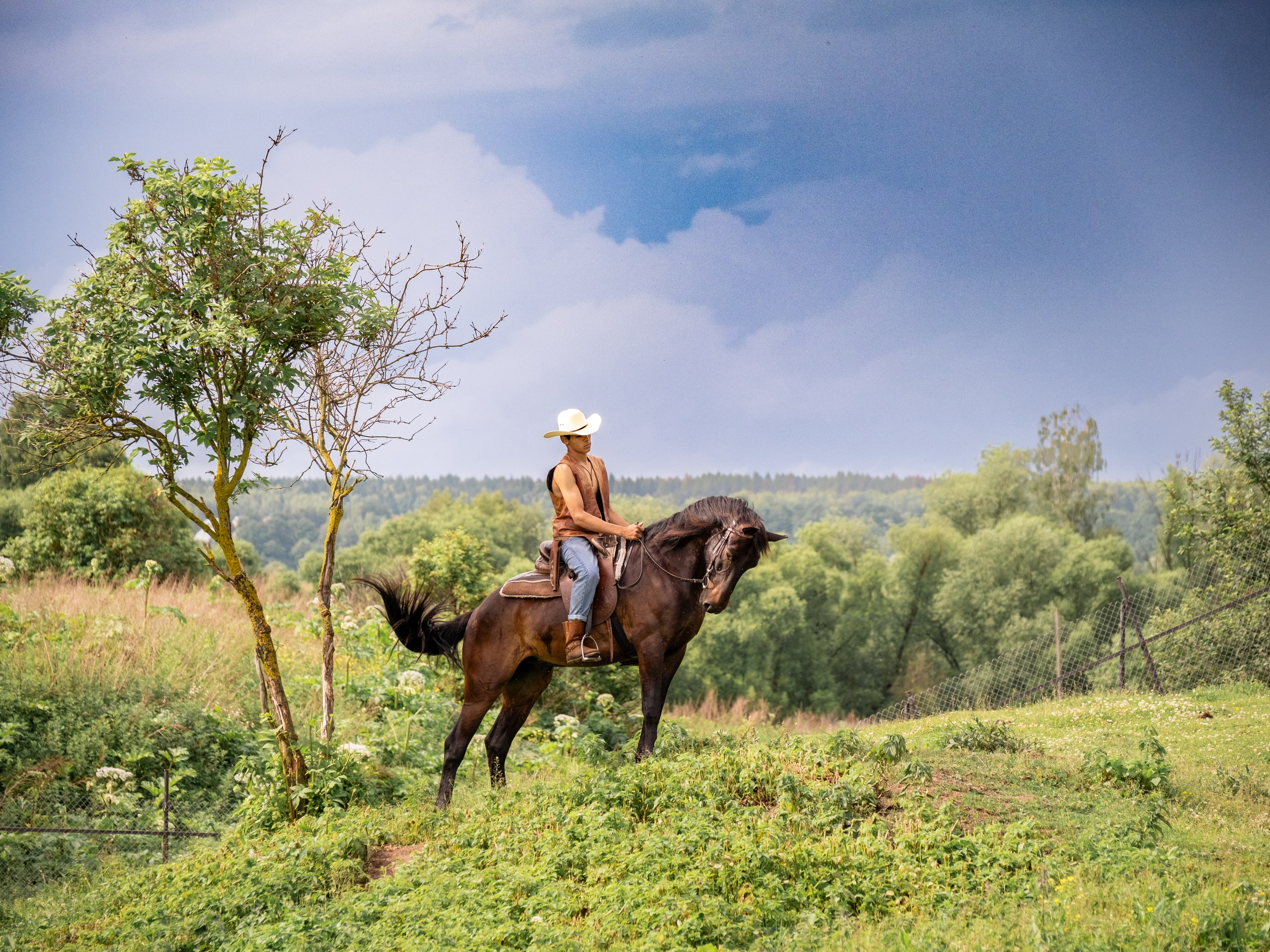 Люди и лошади!. Зоофотограф, фотограф животных в Москве и области Дина Дамоцева