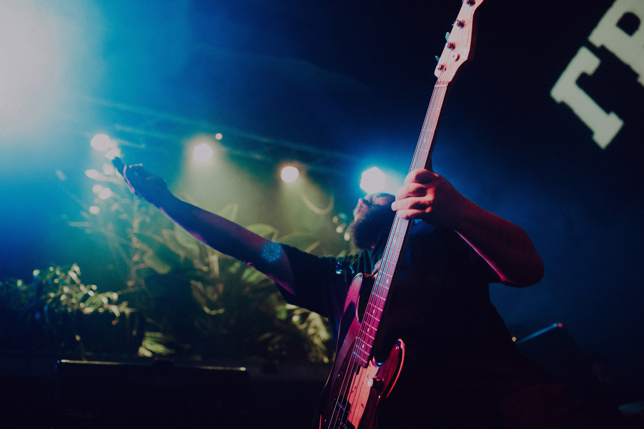 ГРЕБЛЯ. Фотограф Елена Богачева (lenalena_na_na_na)