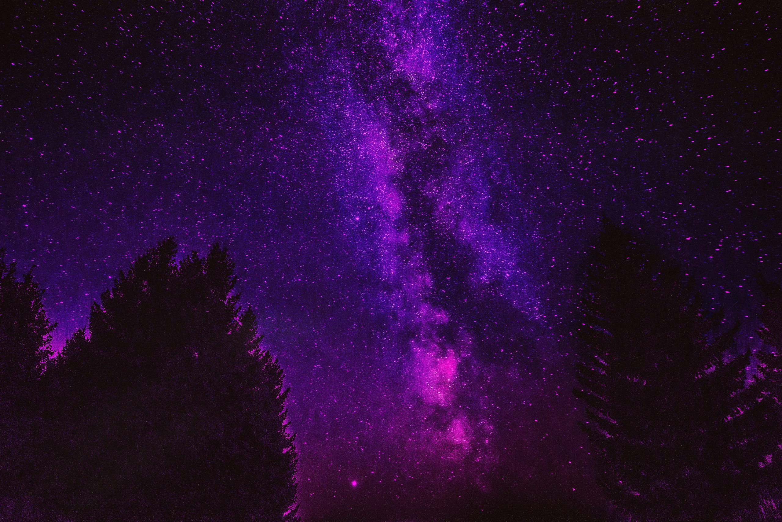 N a t u r e. Your photographer