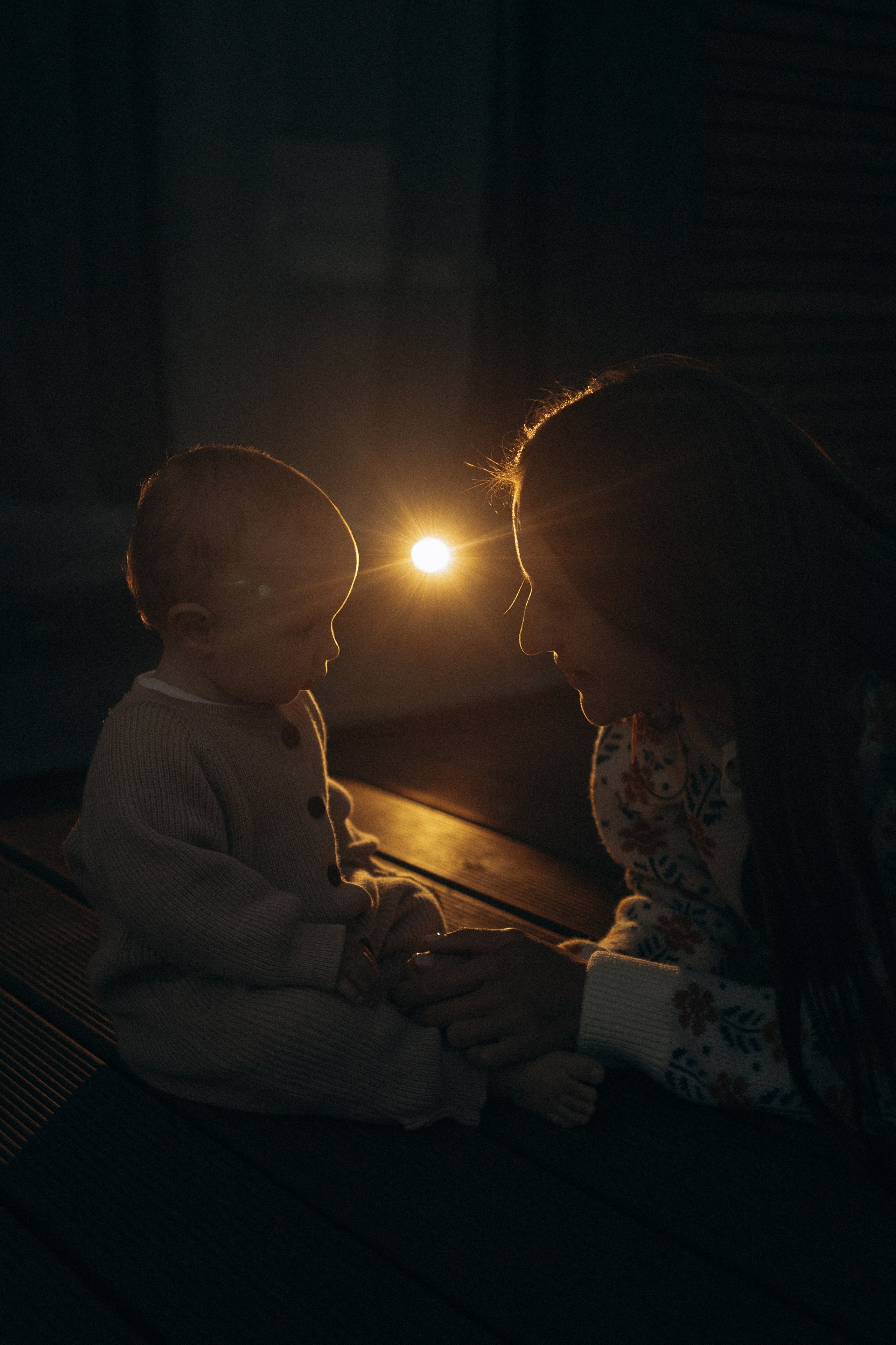 Семейная. Фотораф — анималист Мария Шистка