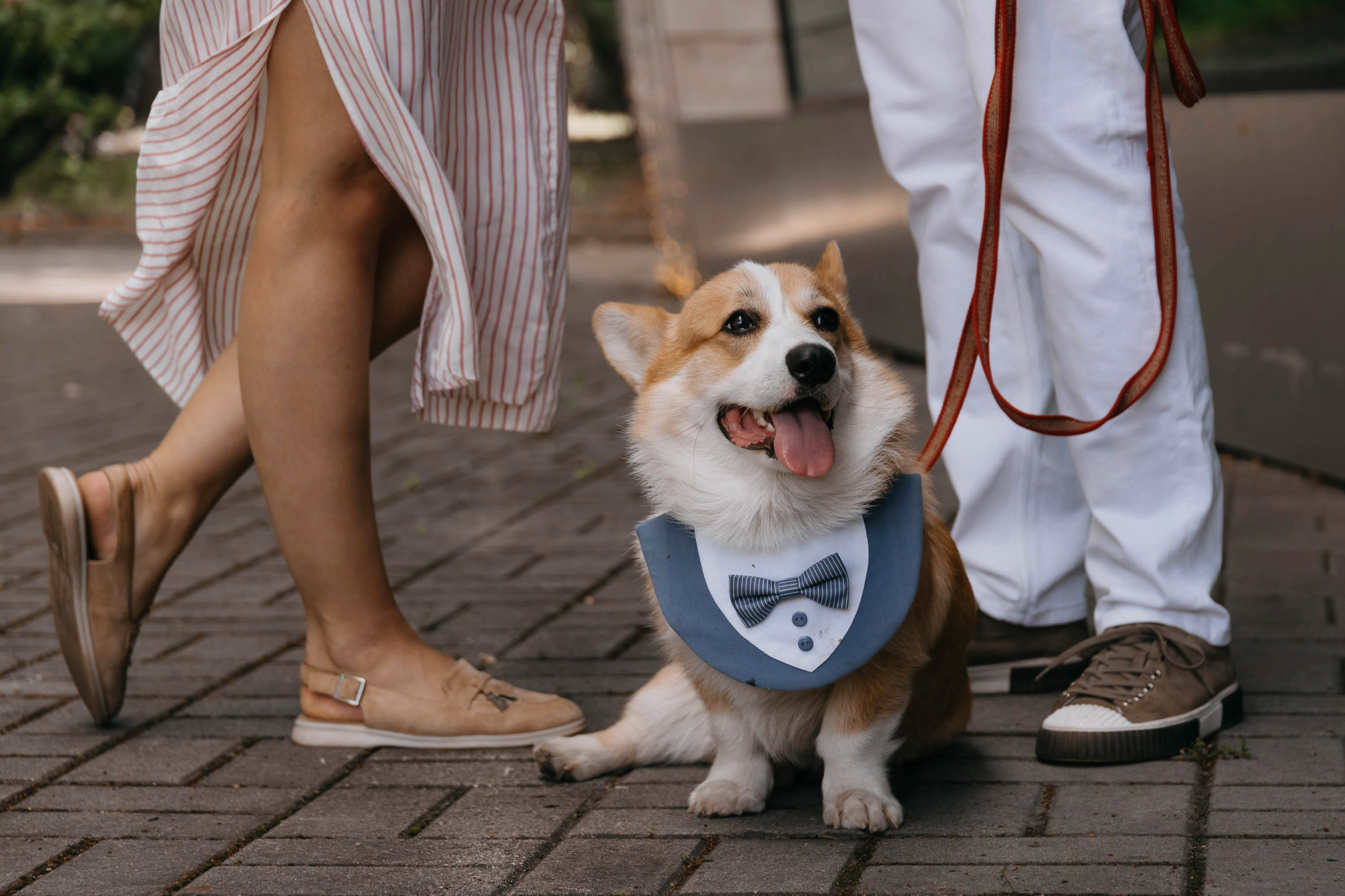 Александр & Анастасия. Фотограф ваших событий