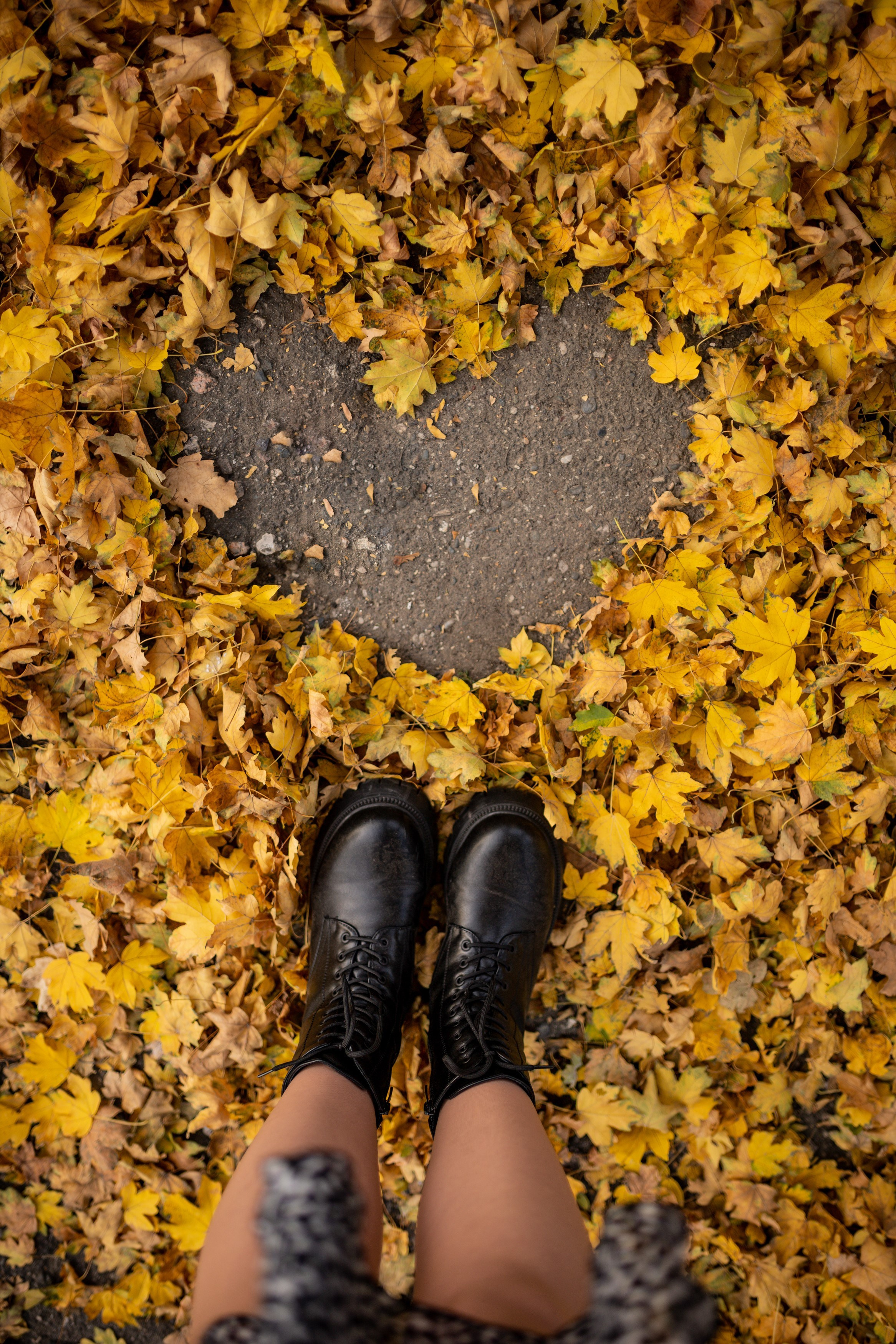 Осенняя фотосессия Георгиевск. Семейный, детский, свадебный фотограф в Георгиевске Дарья Домникова