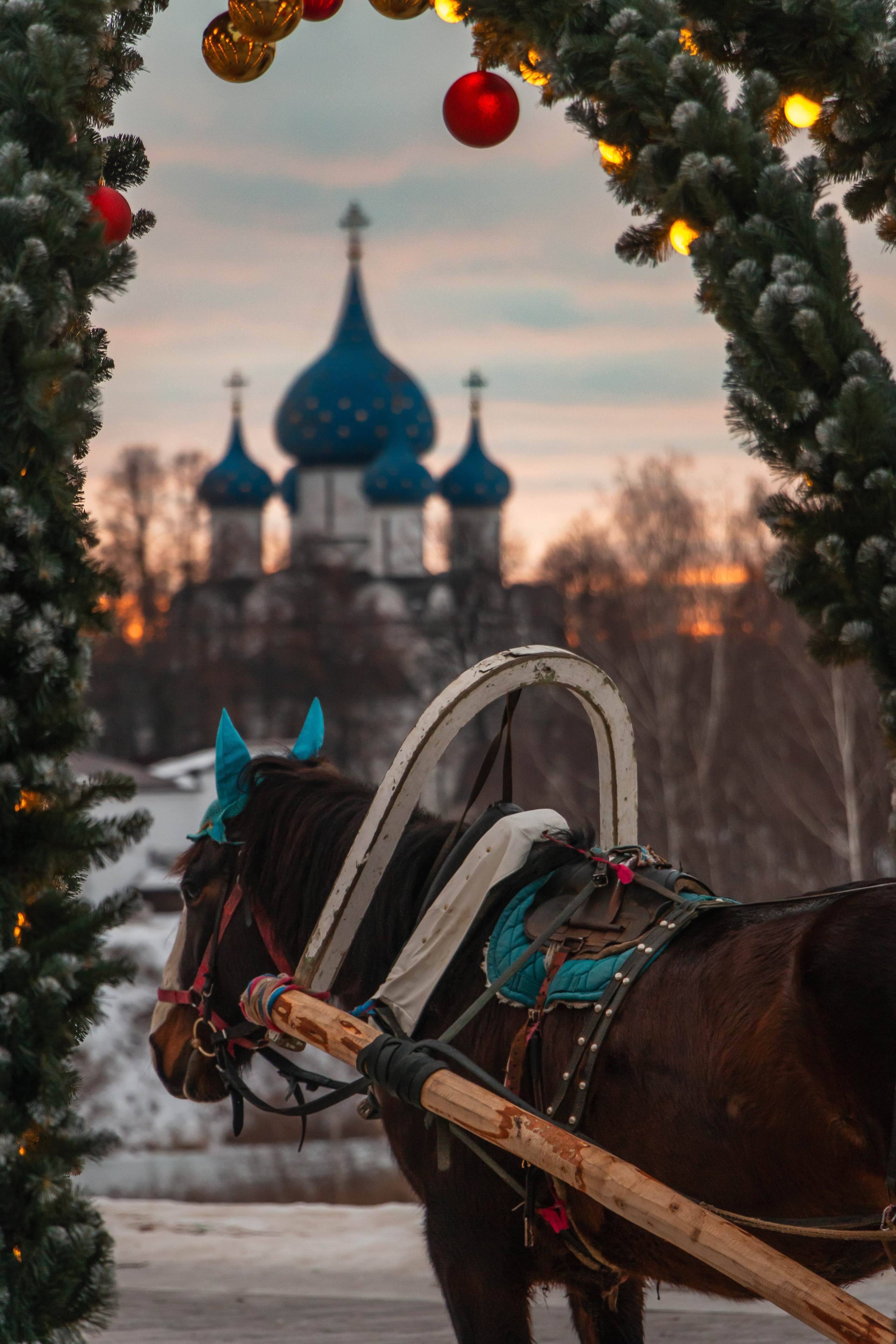 Суздаль. Олег Романов. Мастер фото по спорту