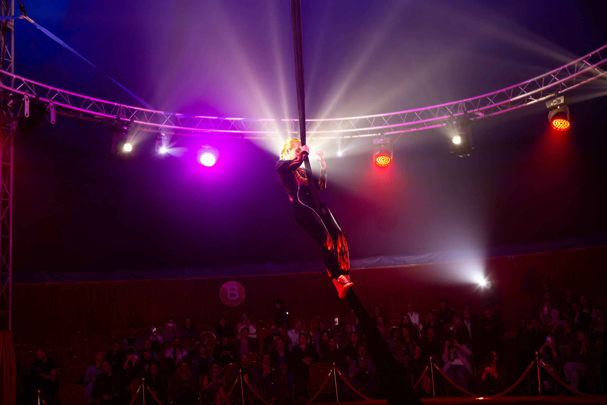MANEGE SHOW. Репортажный, семейный, свадебный, портретный фотограф