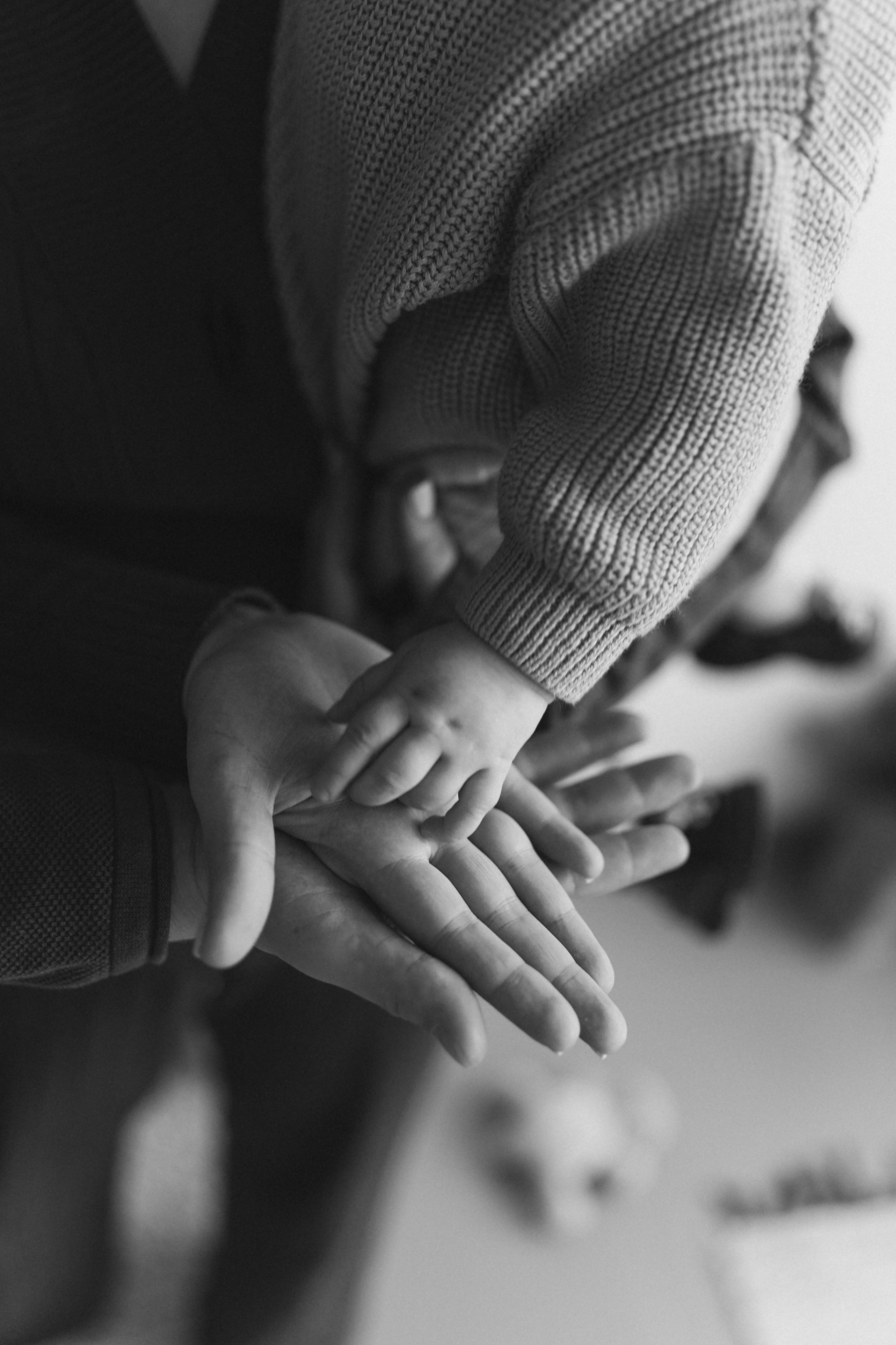 Александр/Елизавета и Полина. Фотограф в Санкт-Петербурге — Лучина Екатерина