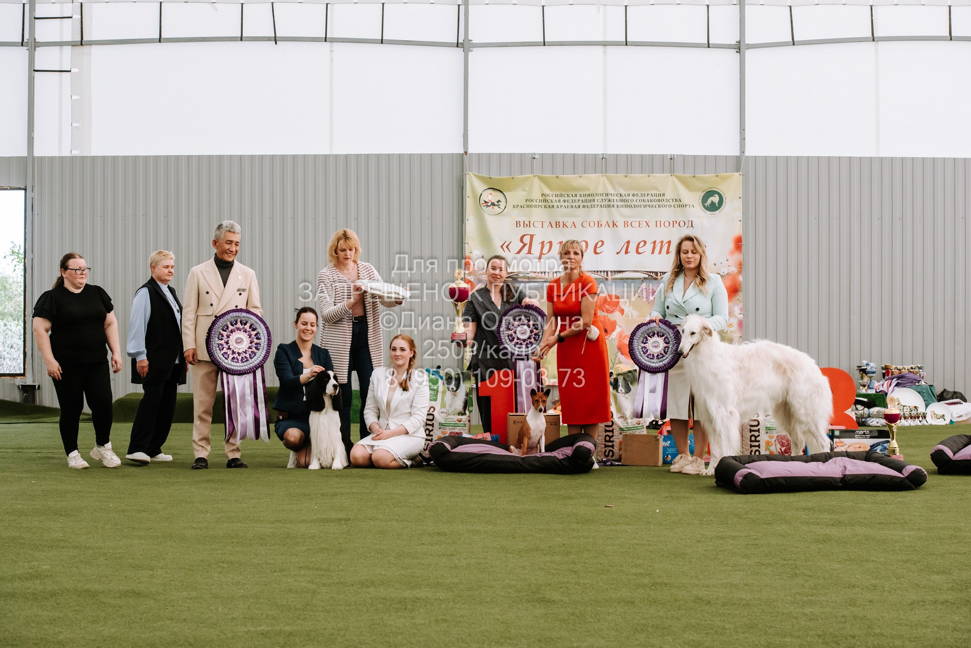 Выставка собак Красноярск 2.06. Фотограф Диана Оленина Красноярск / Братск
