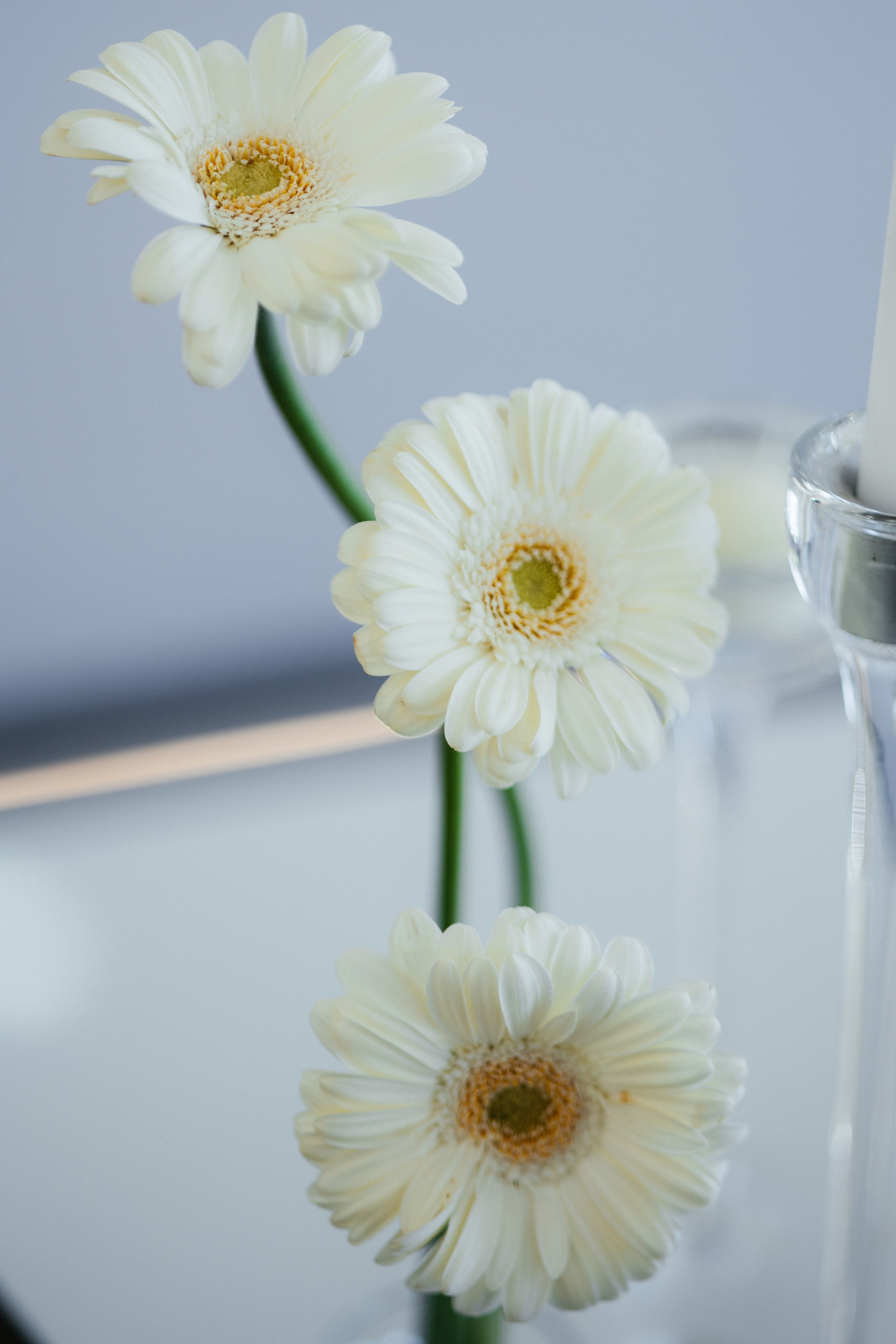 Даник и Вероника. Свадебный фотограф Минск РБ