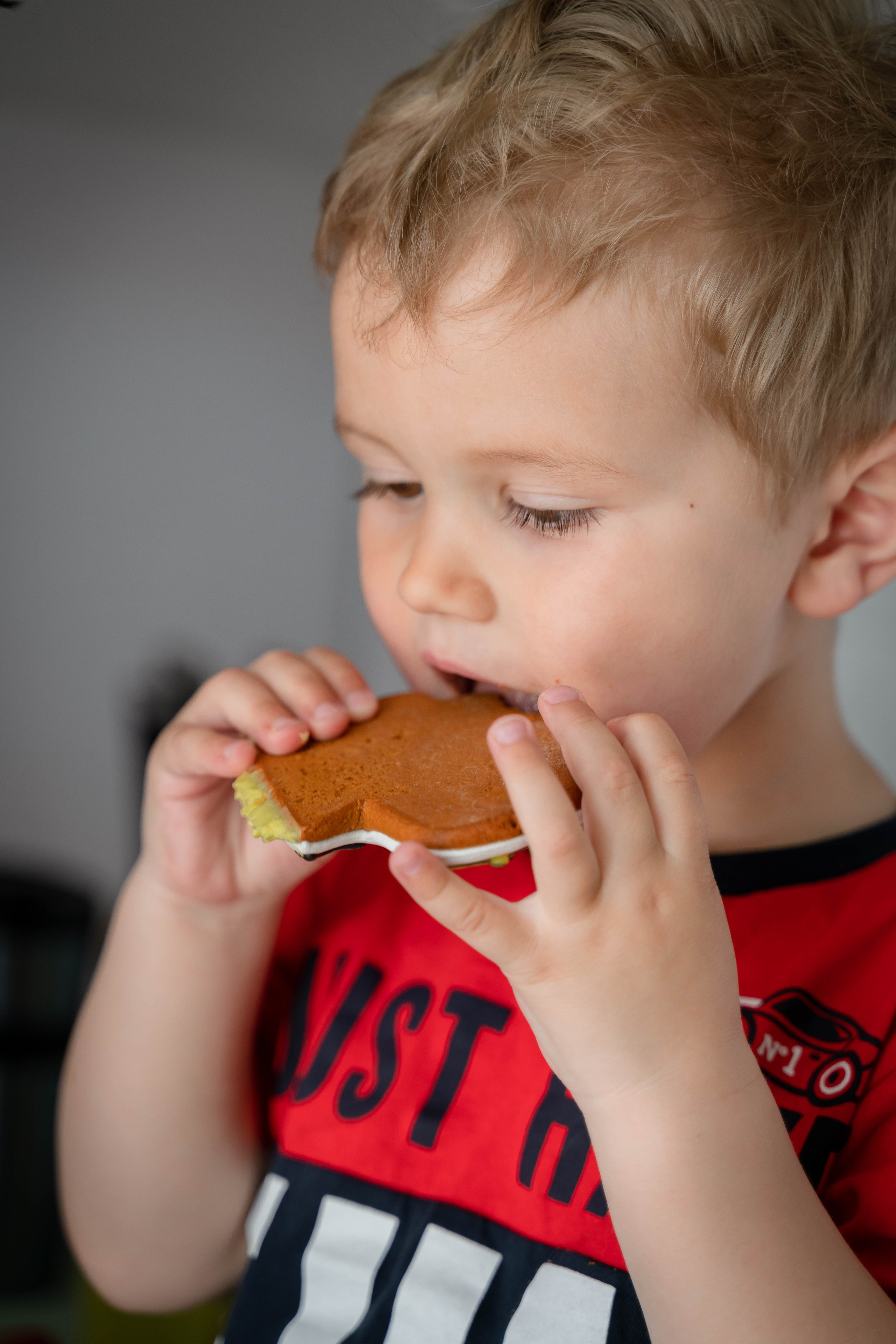 Детский День Рождения дома. ALISON FILMS