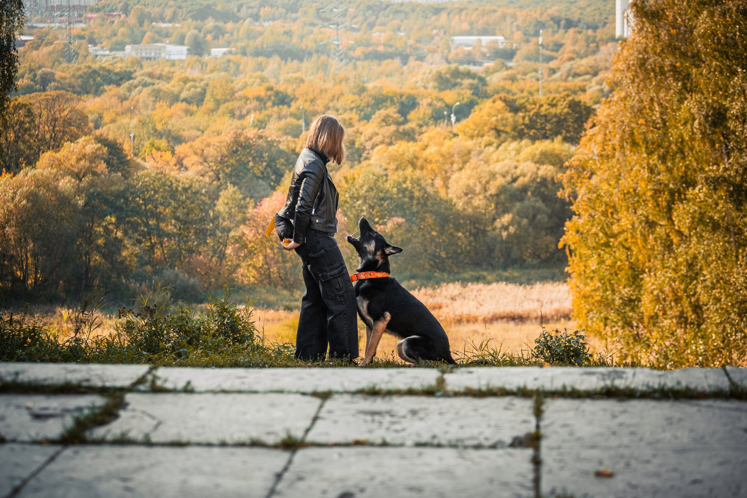 Илай. Фотограф-анималист Татьяна Степанова