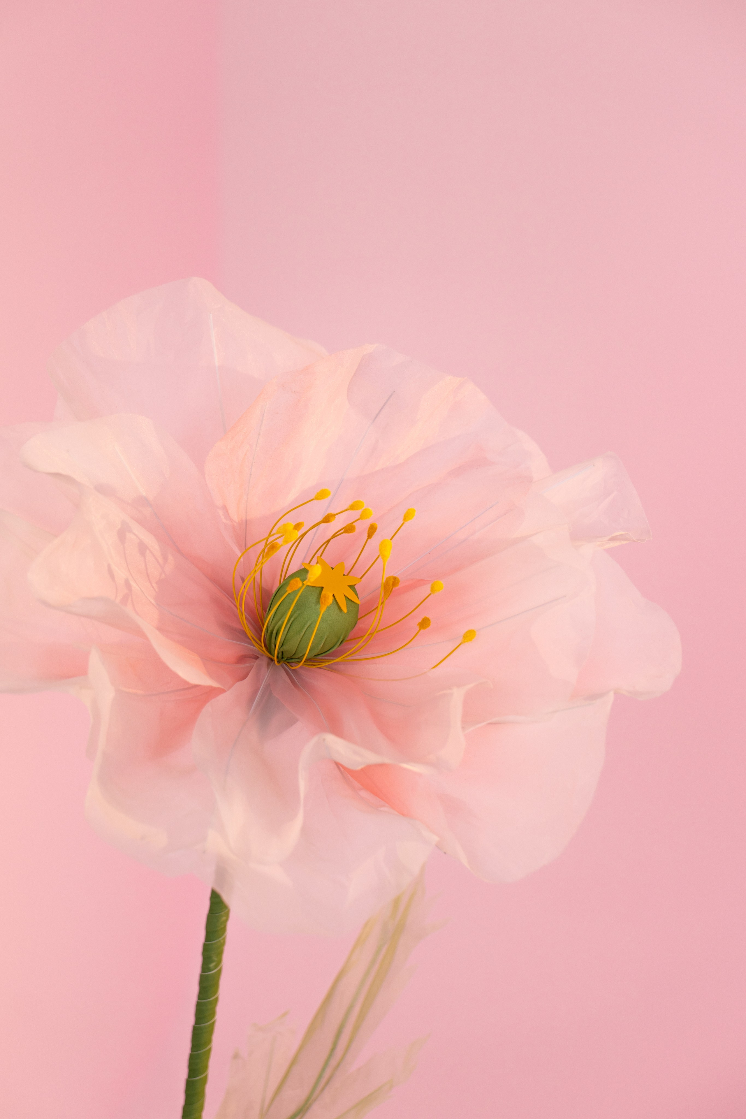 Цветочная фея. Фотограф в Москве Зябченко Екатерина. Съемки беременности, love story, семейный, портреты в студии и на улице