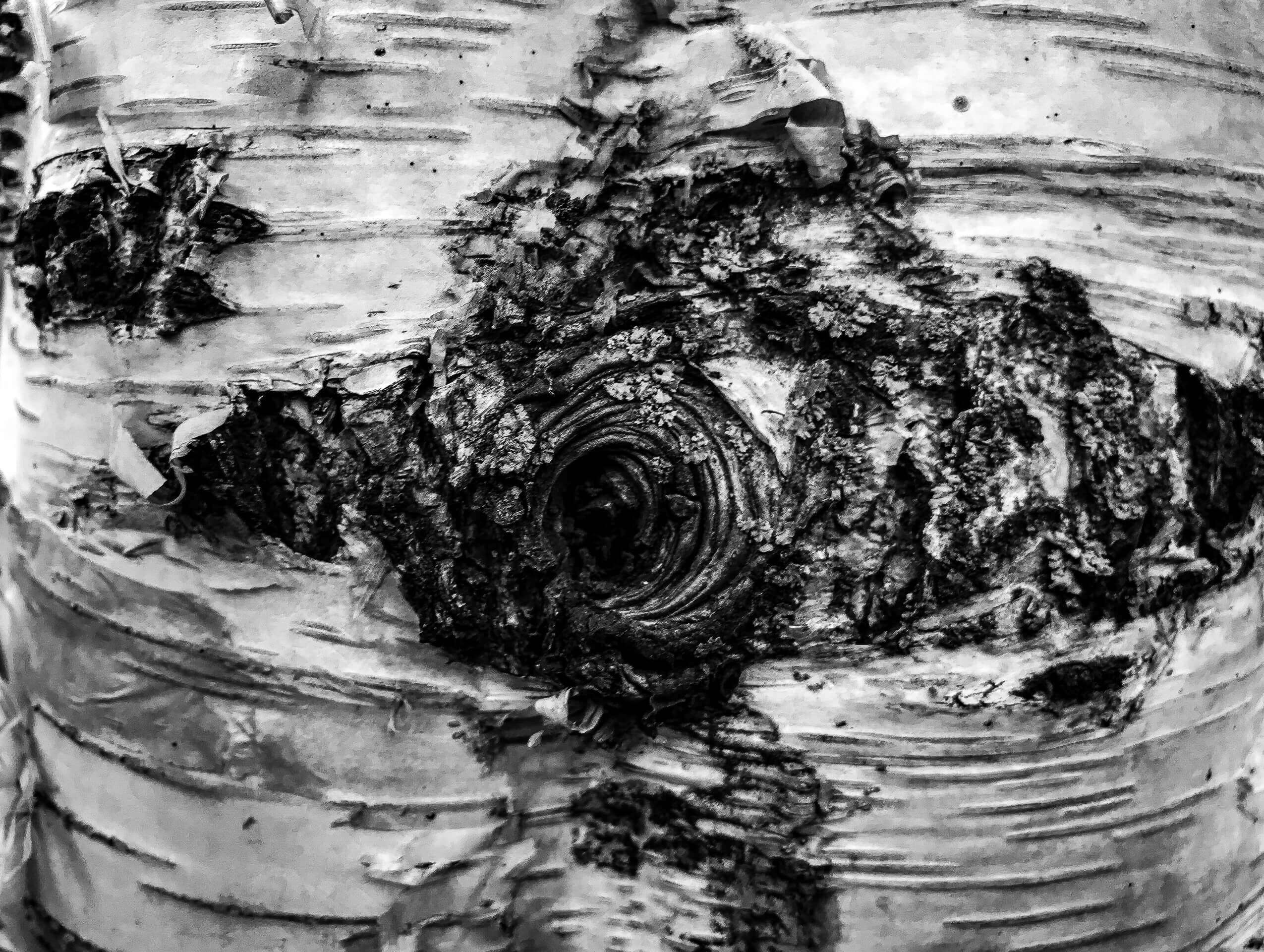 Бужение земли. Xenia Ryabova