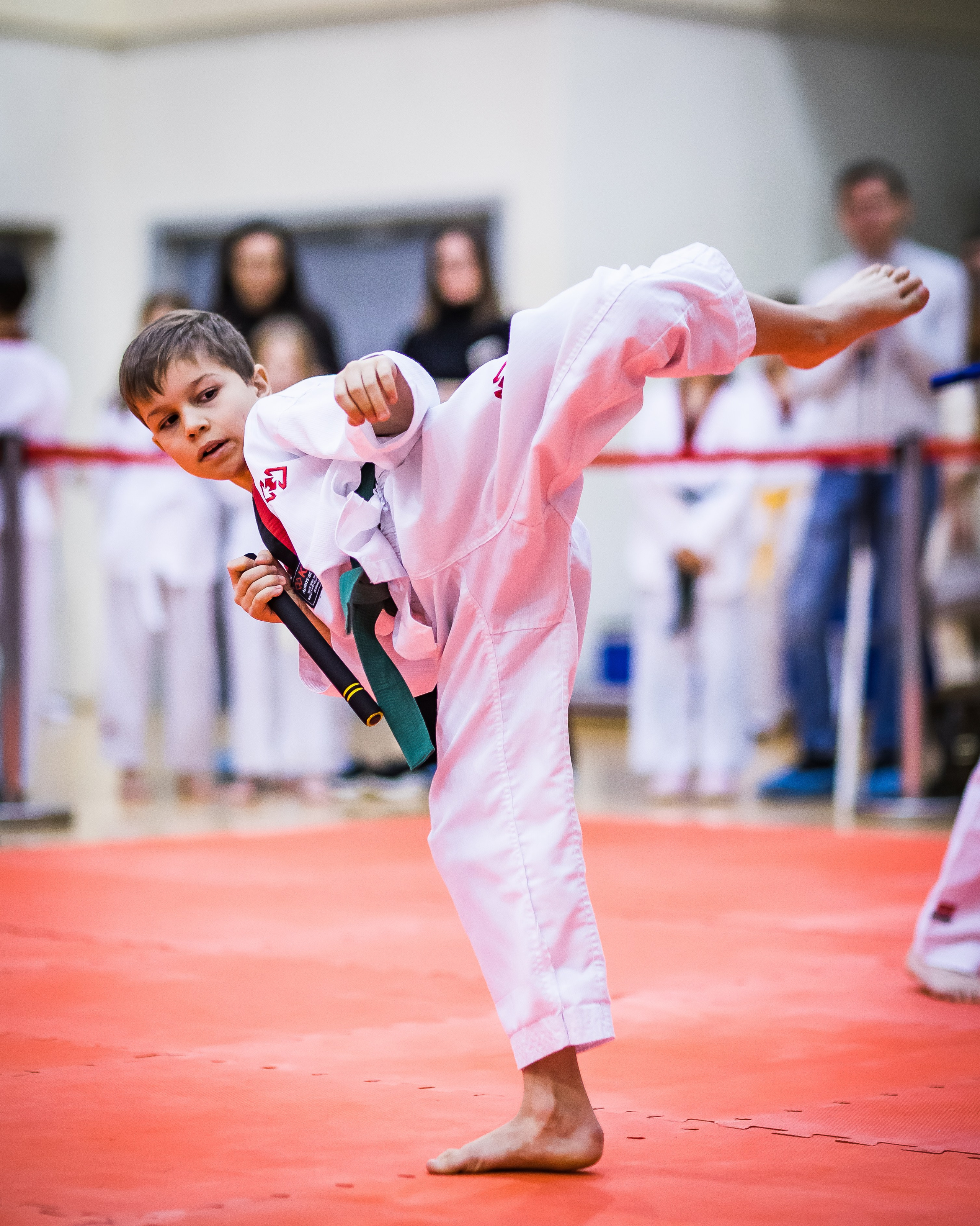 Турнир Федерации детского тхэквондо России по дисциплине ПХУМСЭ. Спортивный фотограф Максим Серегин