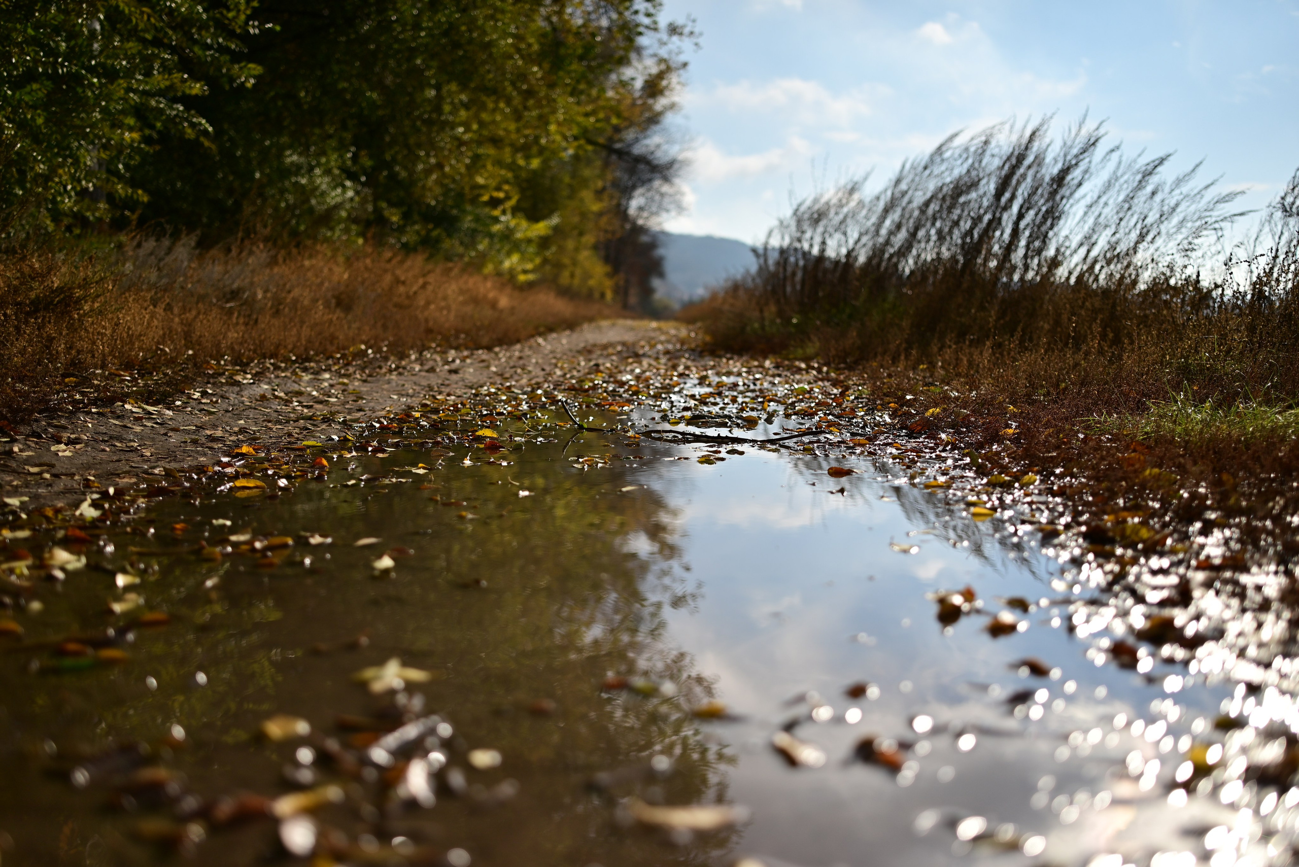 Октябрь над Волгой. Фотосъёмка праздничных мероприятий, портретная съёмка в Самаре, Пётр Бубняев