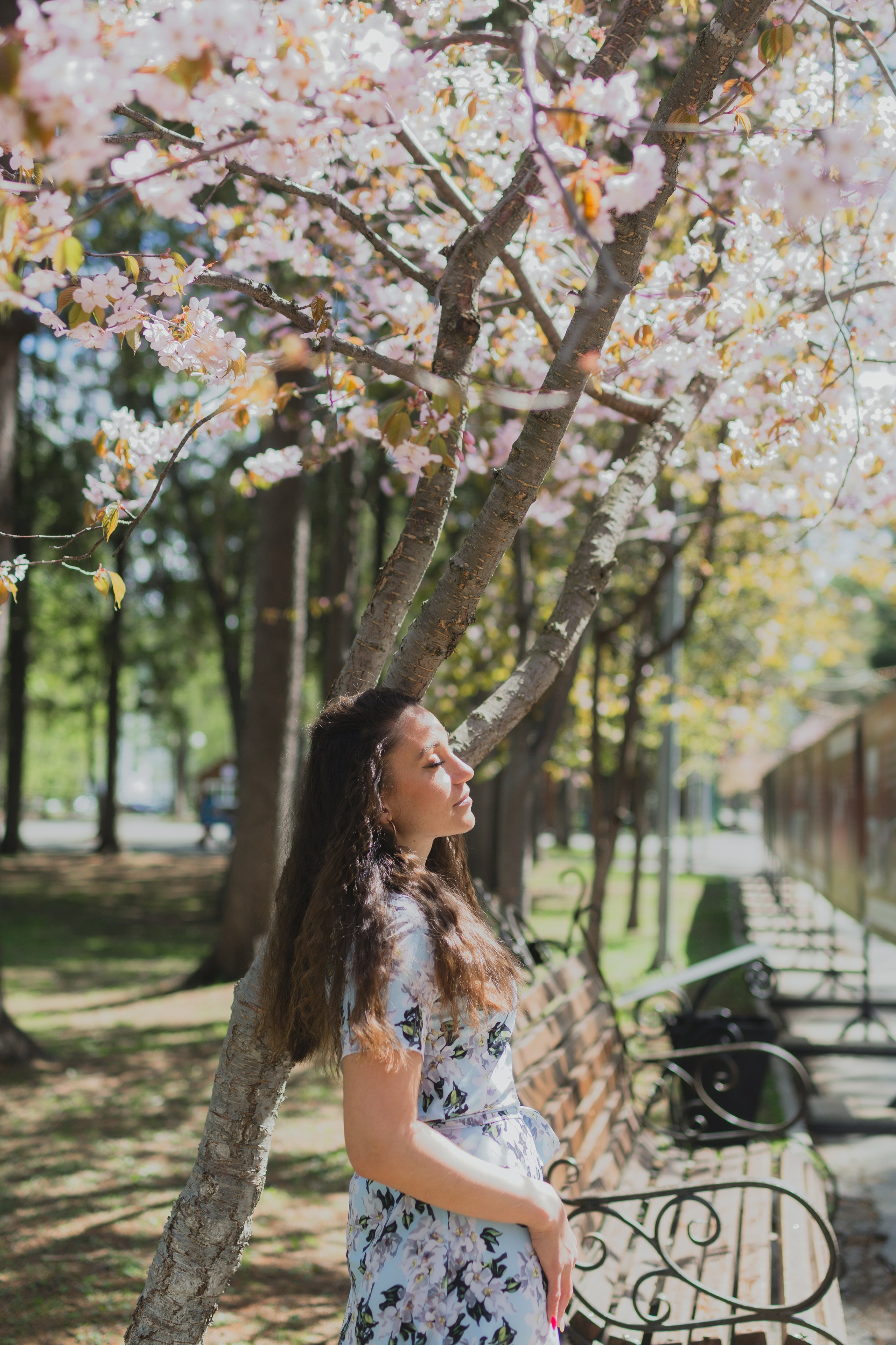 Настя и сакура. Фотограф Южно-Сахалинск