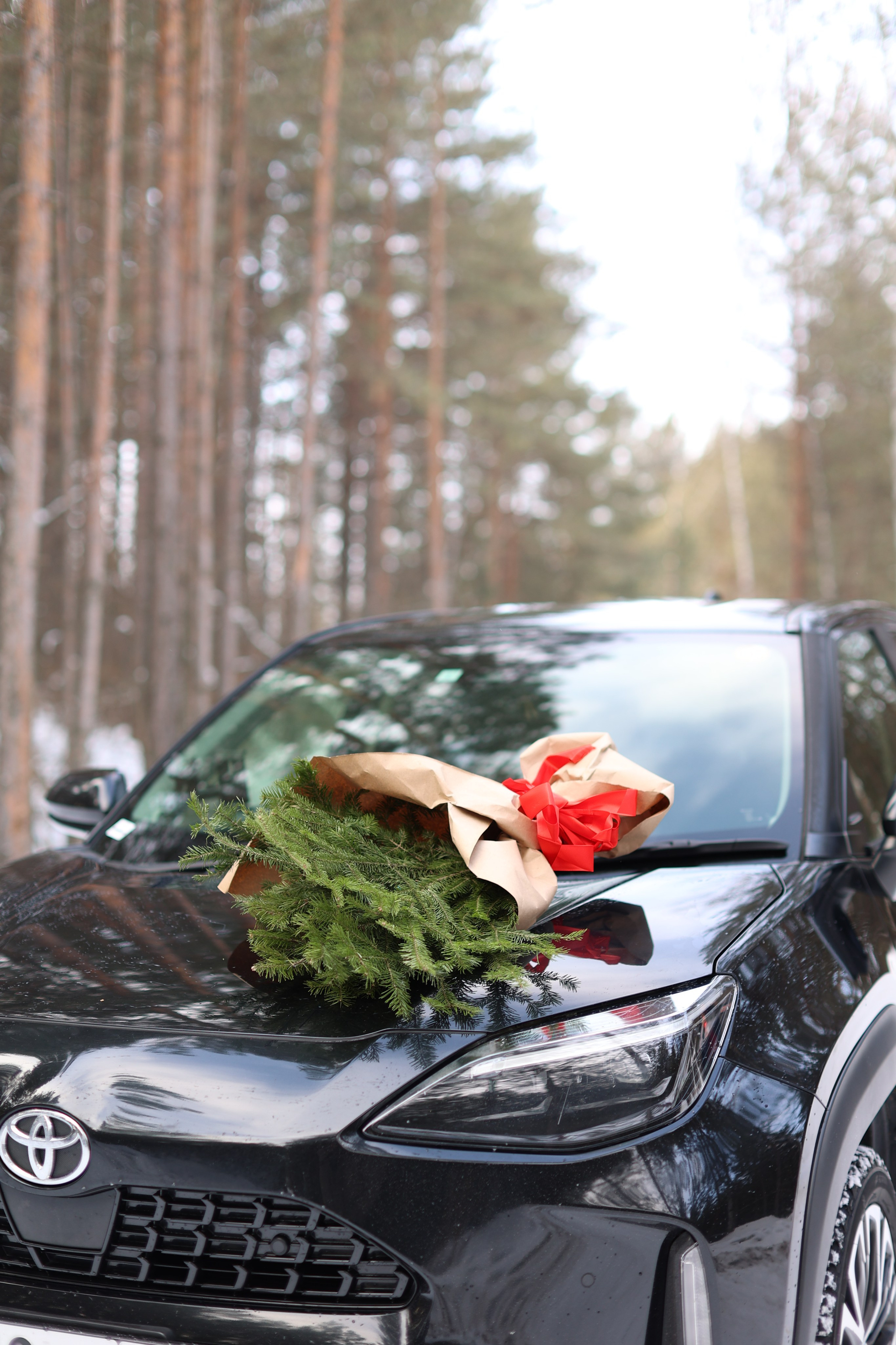 Зима. Art my Pho