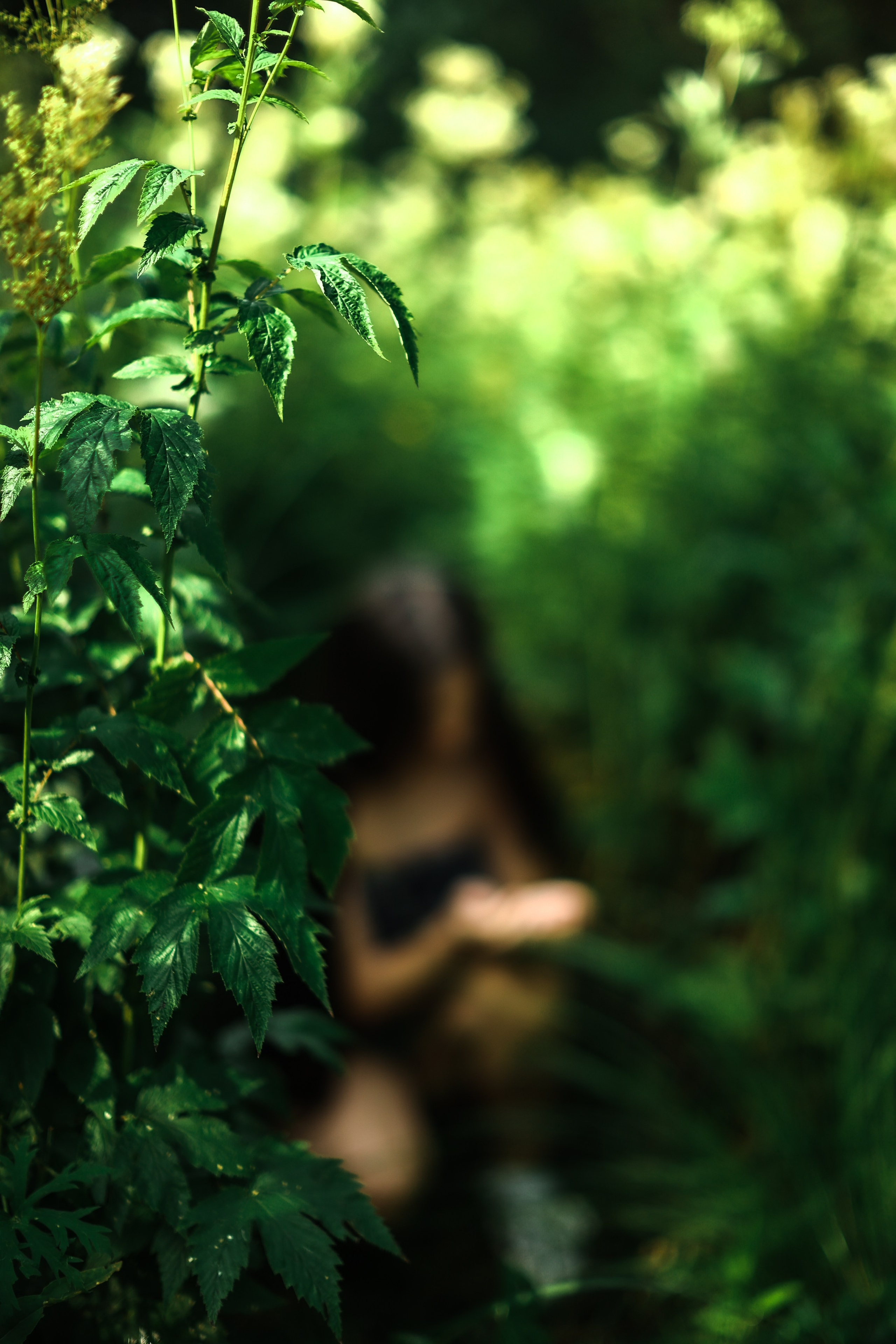 Трава. Art my Pho