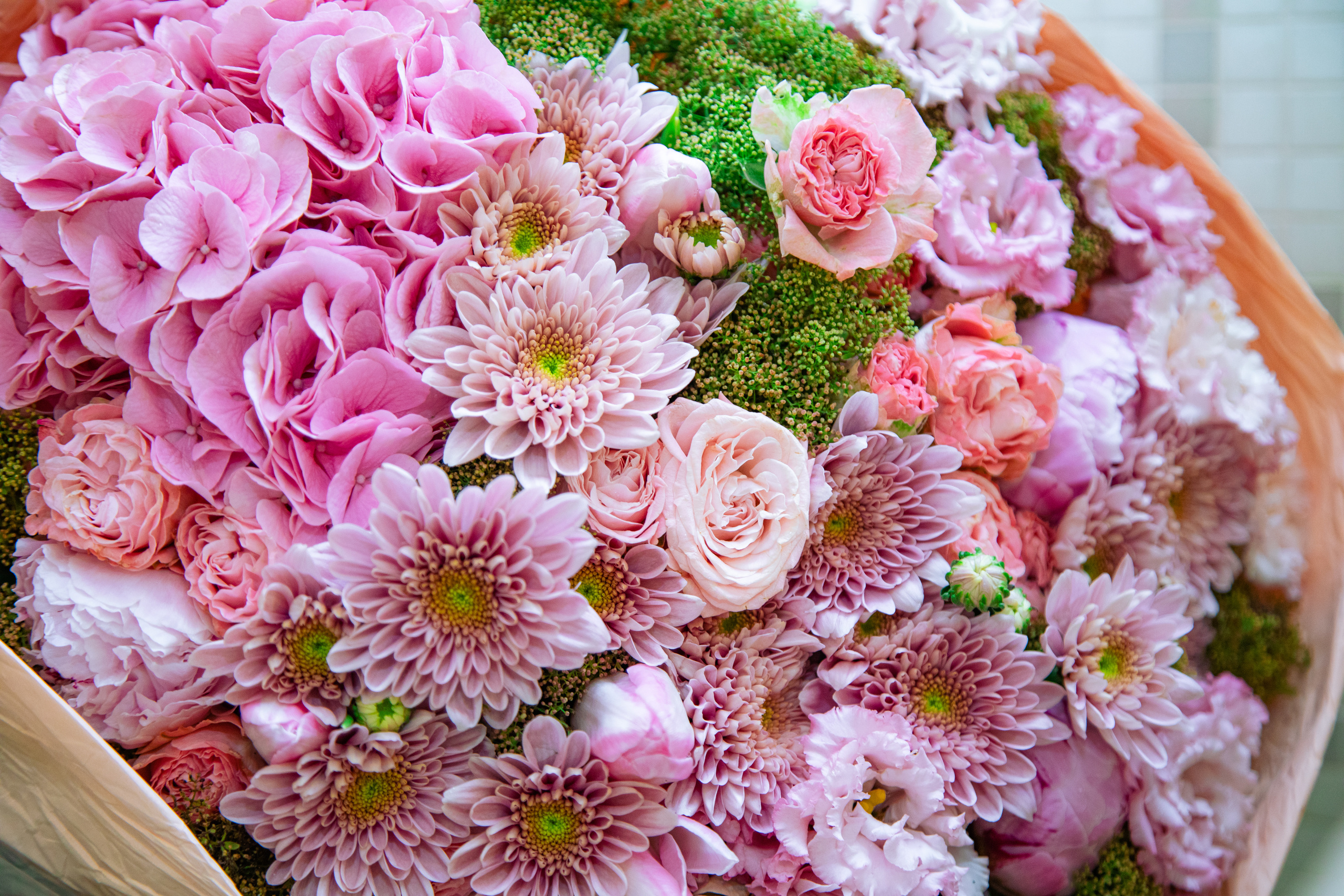 Съёмка выписки из роддома. Как и зачем её «едят»…. Фотограф в Краснодаре Дина Павленко